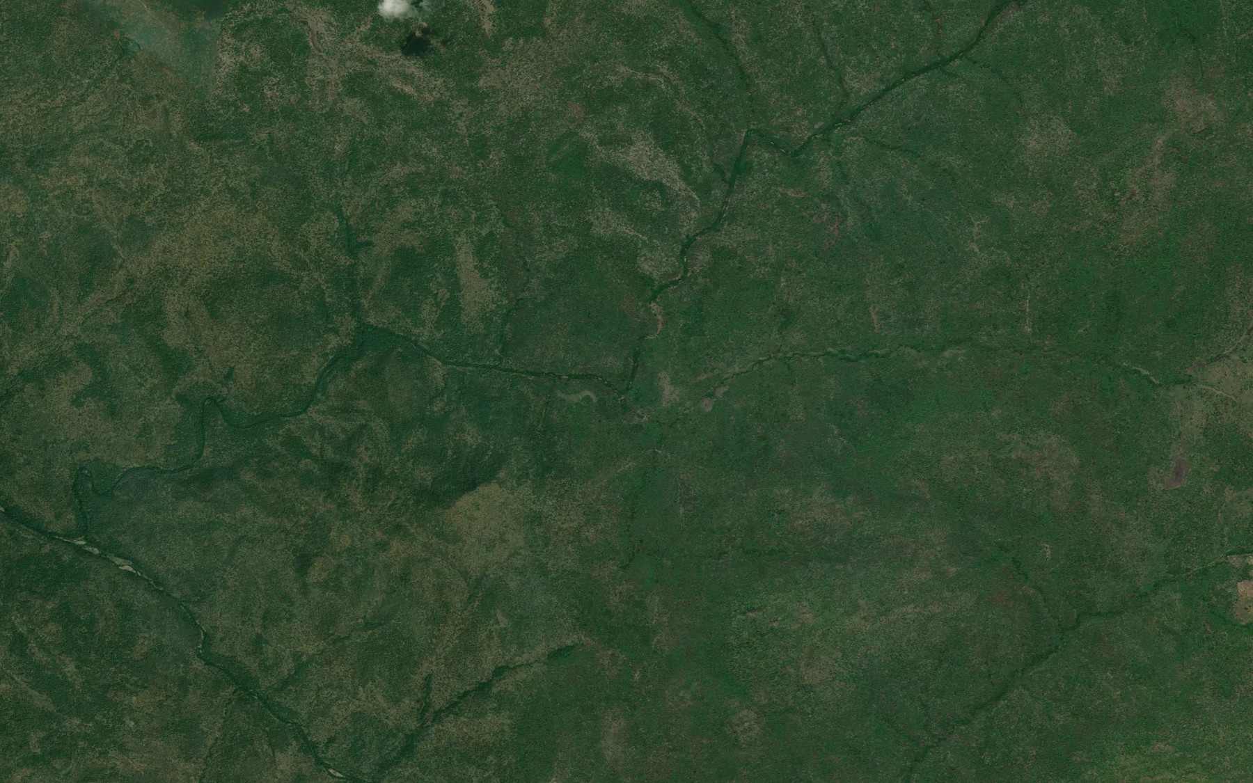Satellite map of the River Fiburi