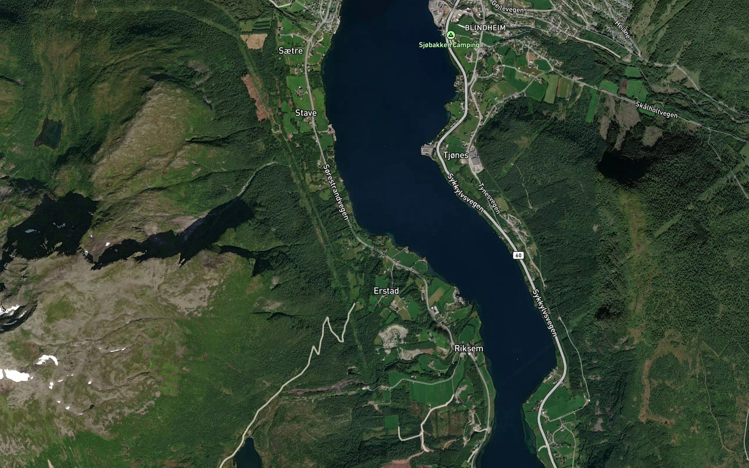 Ytstevika