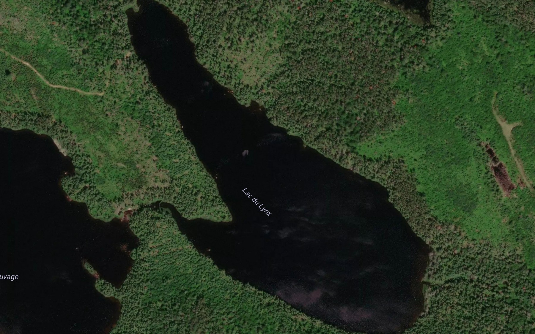 Satellite map of the Lac du Lynx