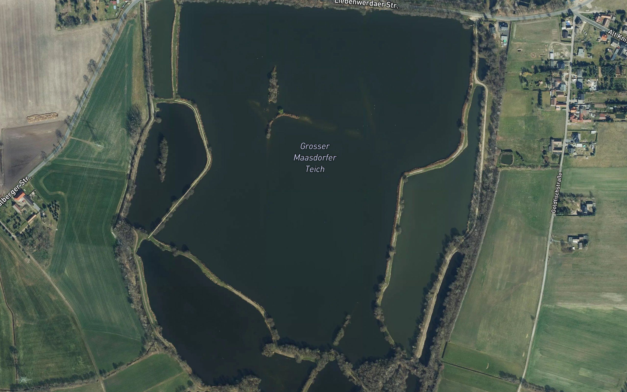 Grosser Maasdorfer Teich