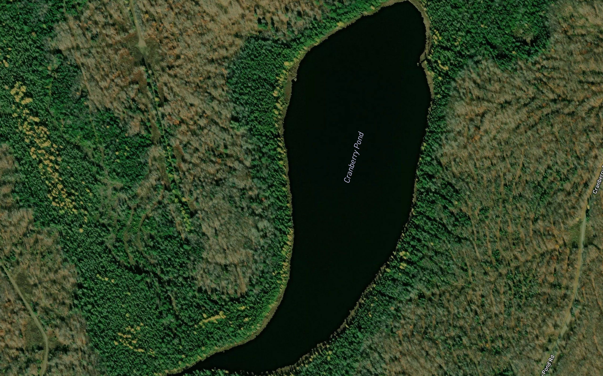 Cranberry Pond