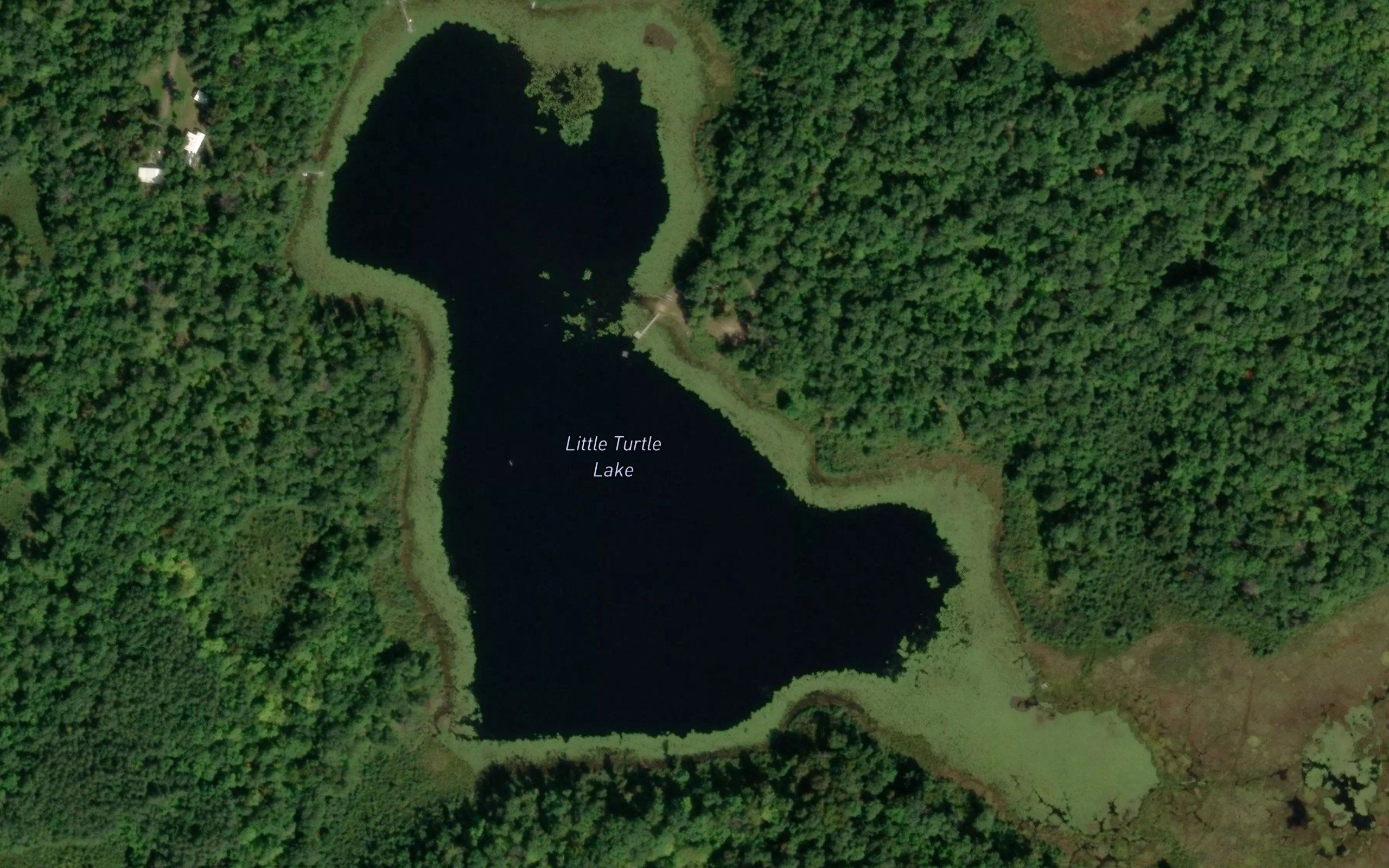 Little Turtle Lake