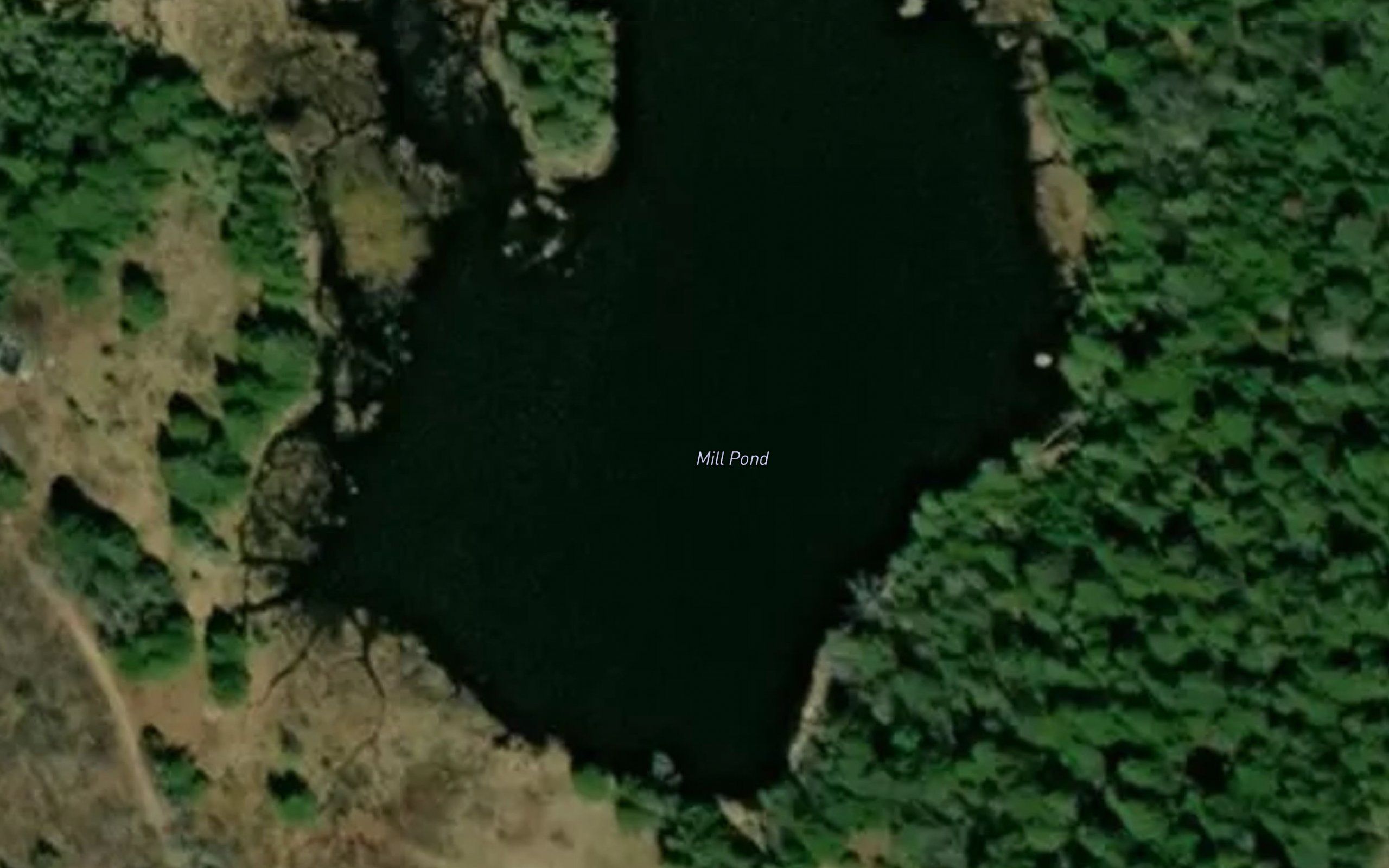 Mill Pond