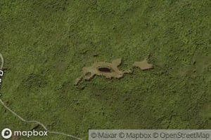 Pre-emption Creek Pond