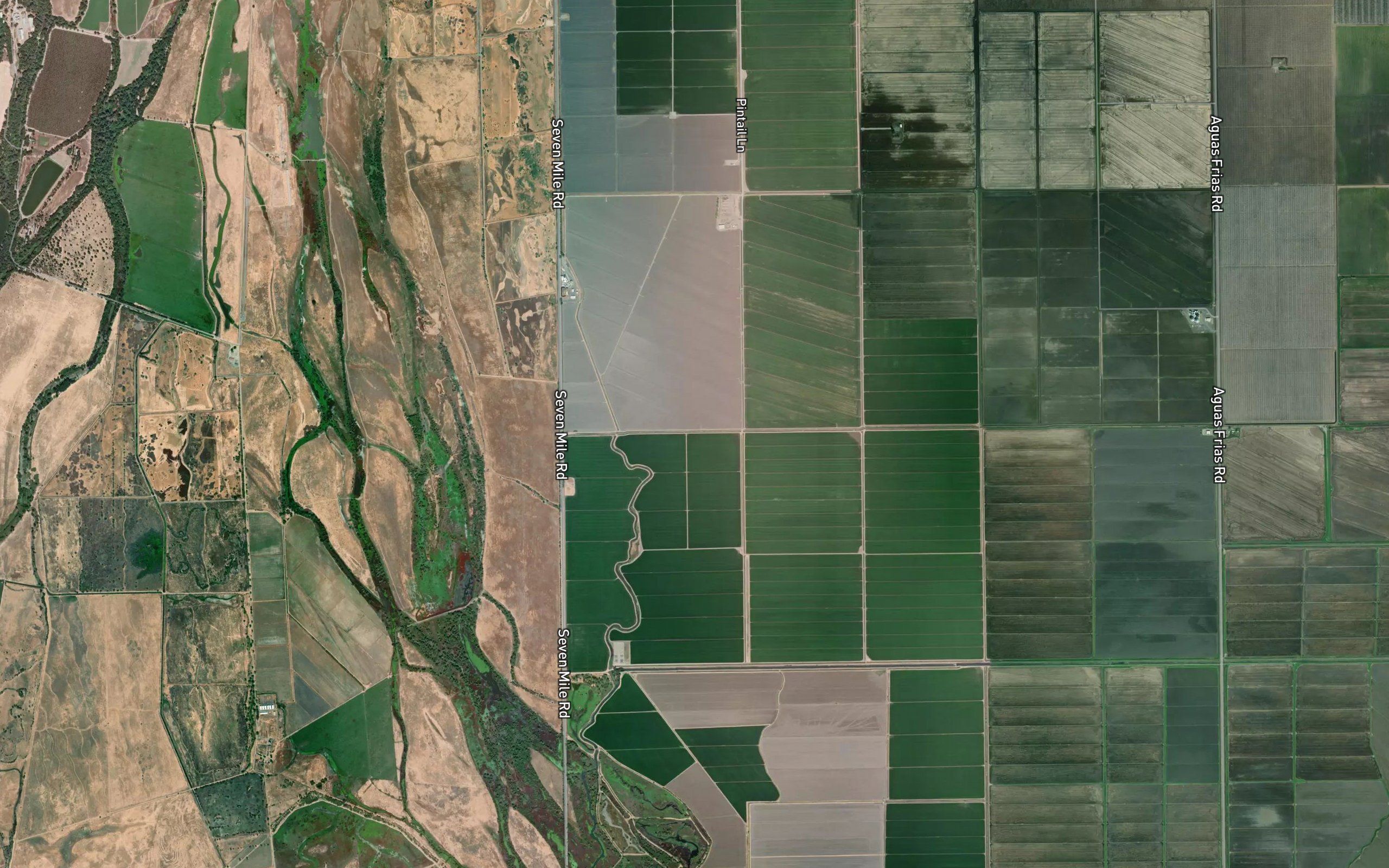 Odell Canal