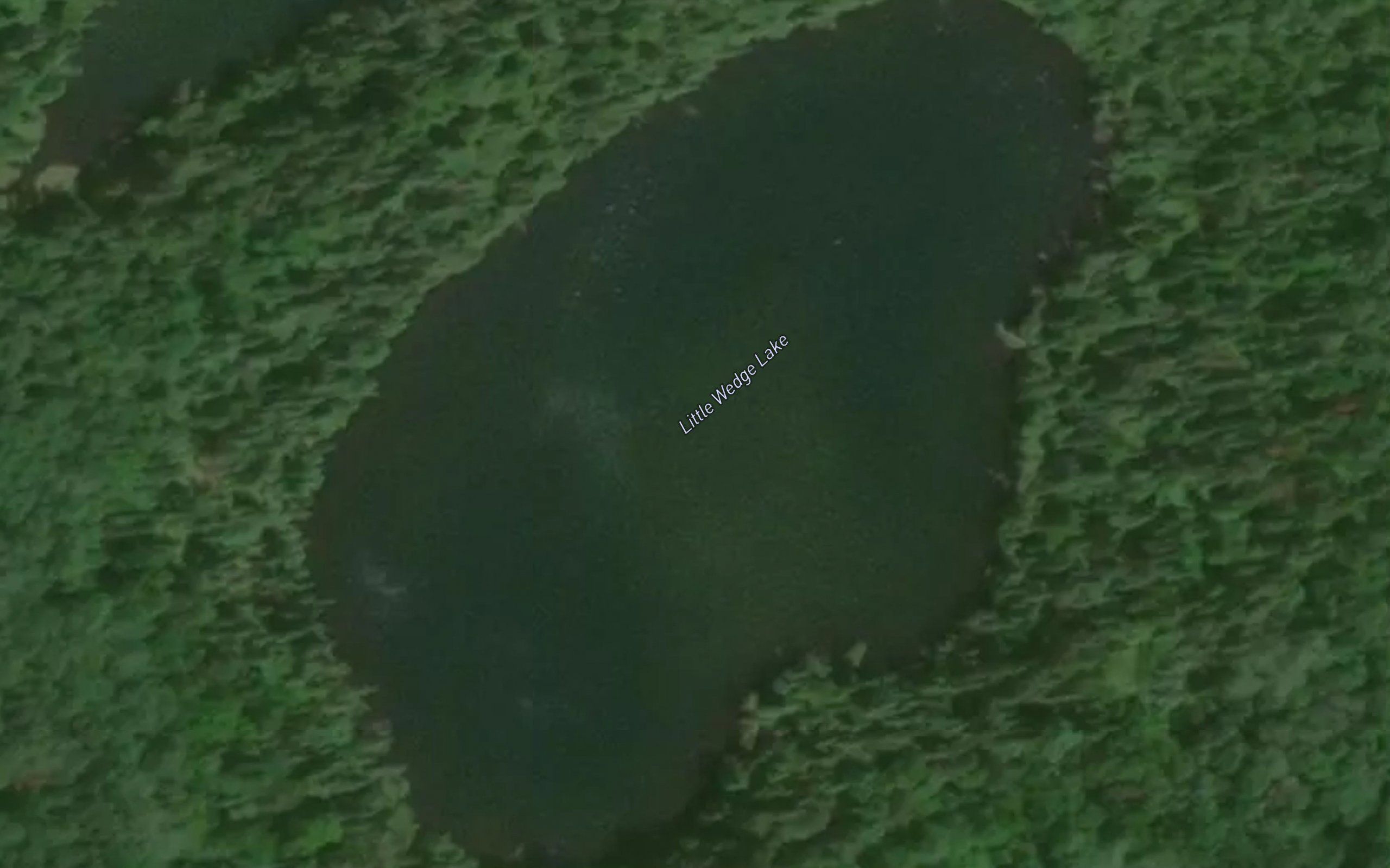 Little Wedge Lake