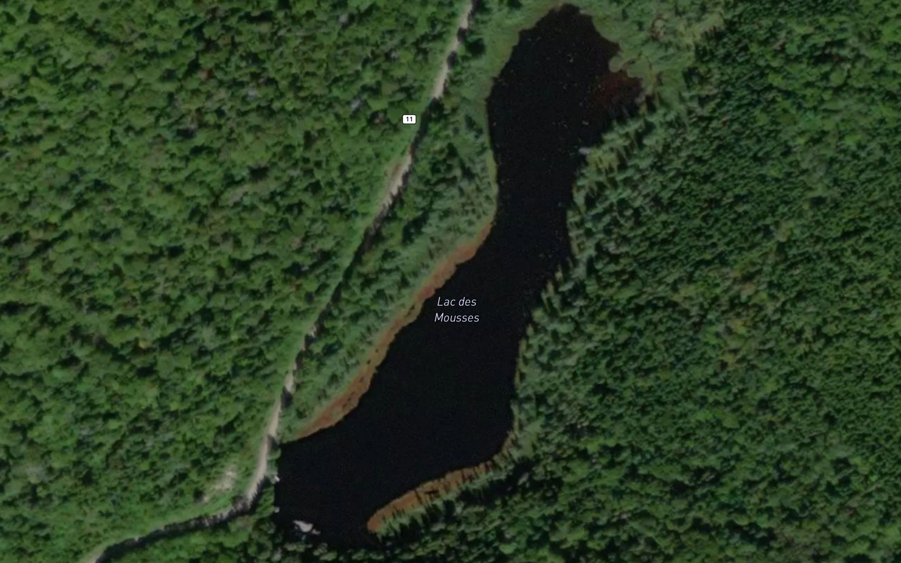 Satellite map of the Lac des Mousses