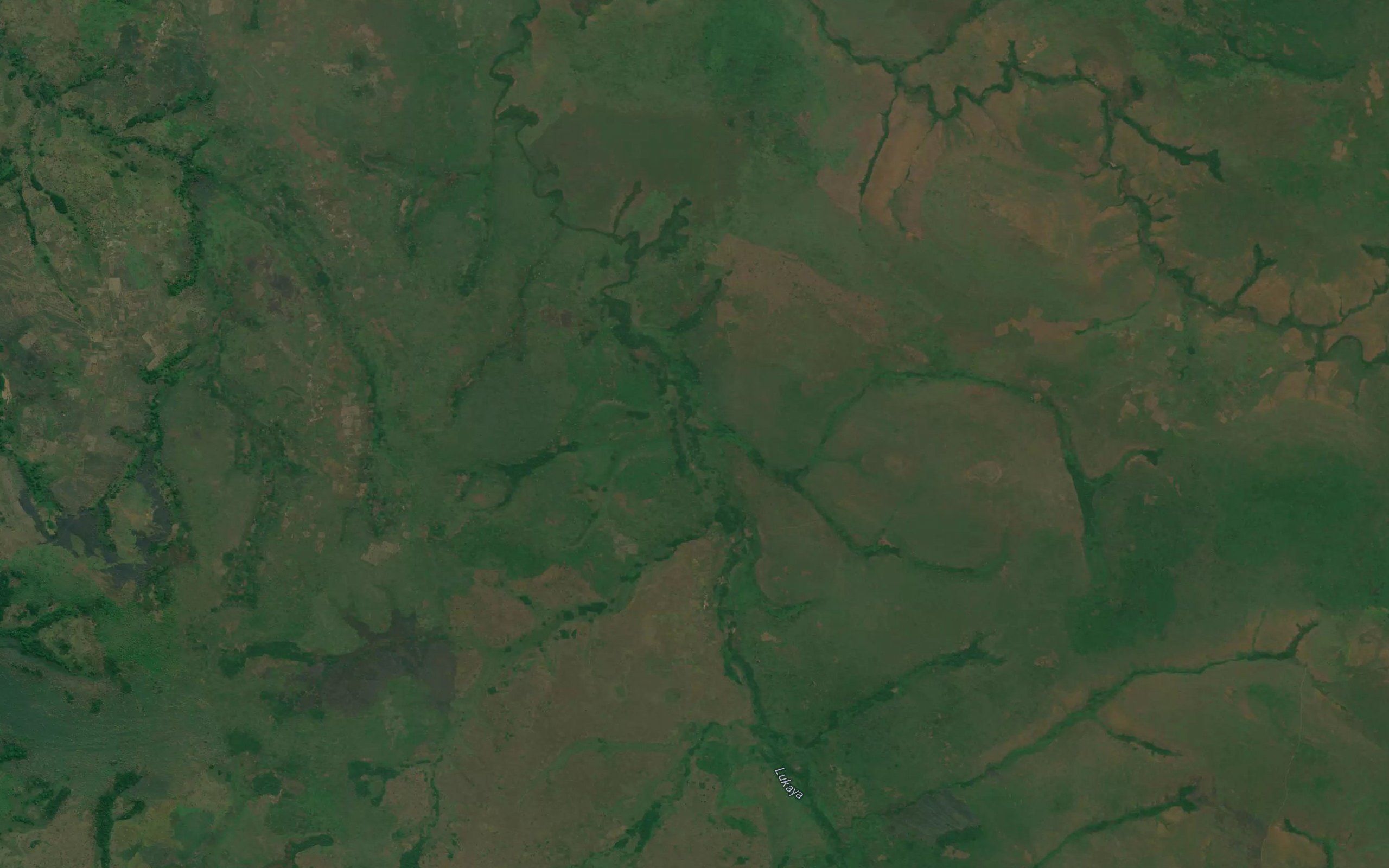 Tshimpangala