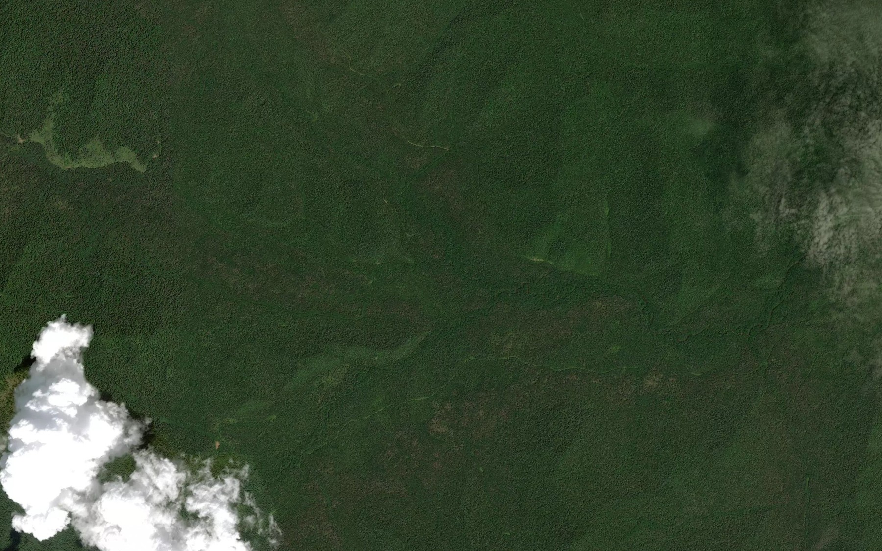 Satellite map of the Orekhovyy