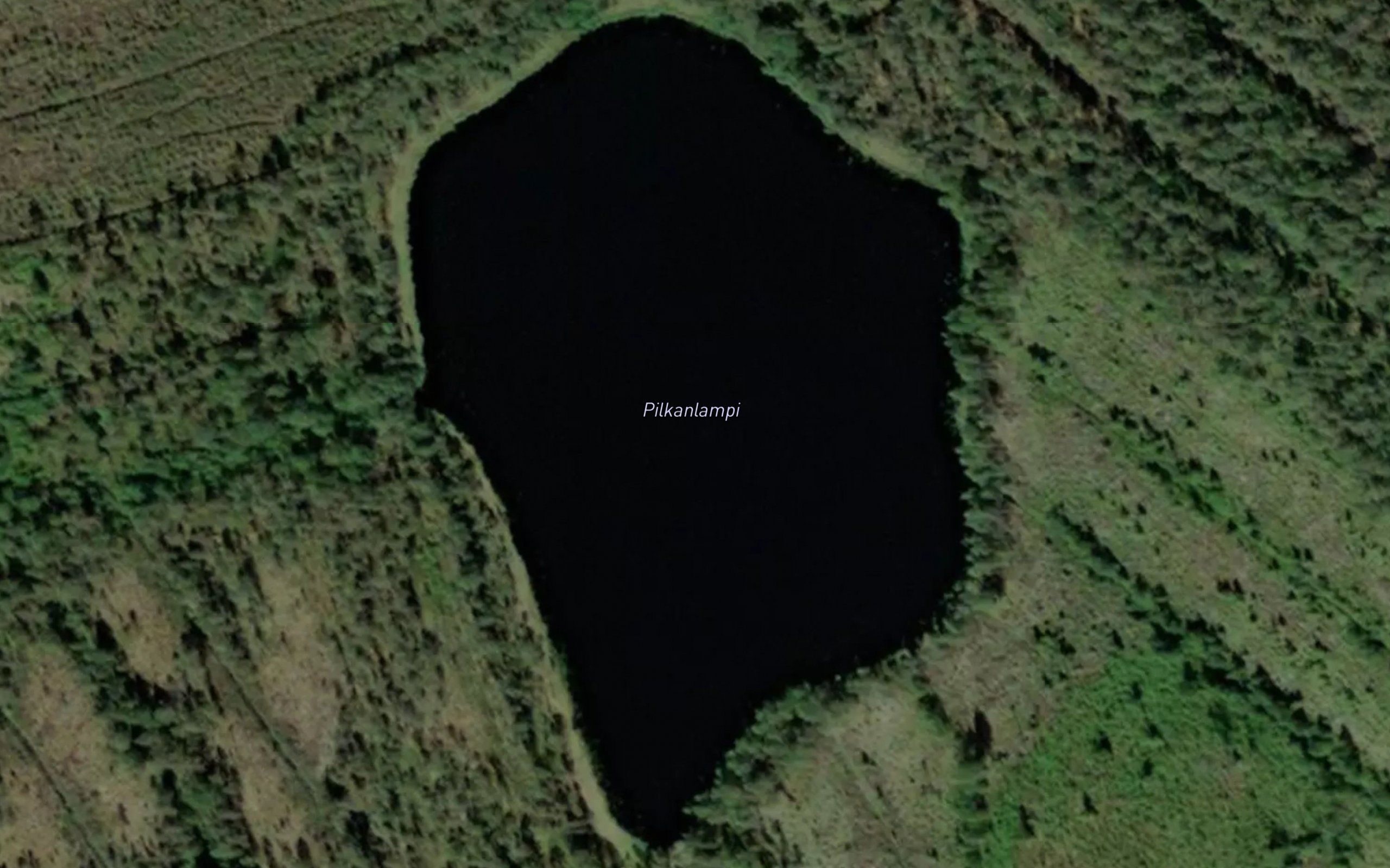 Pilkanlampi