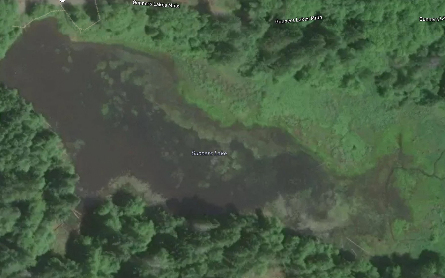 Satellite map of the Gunners Lakes