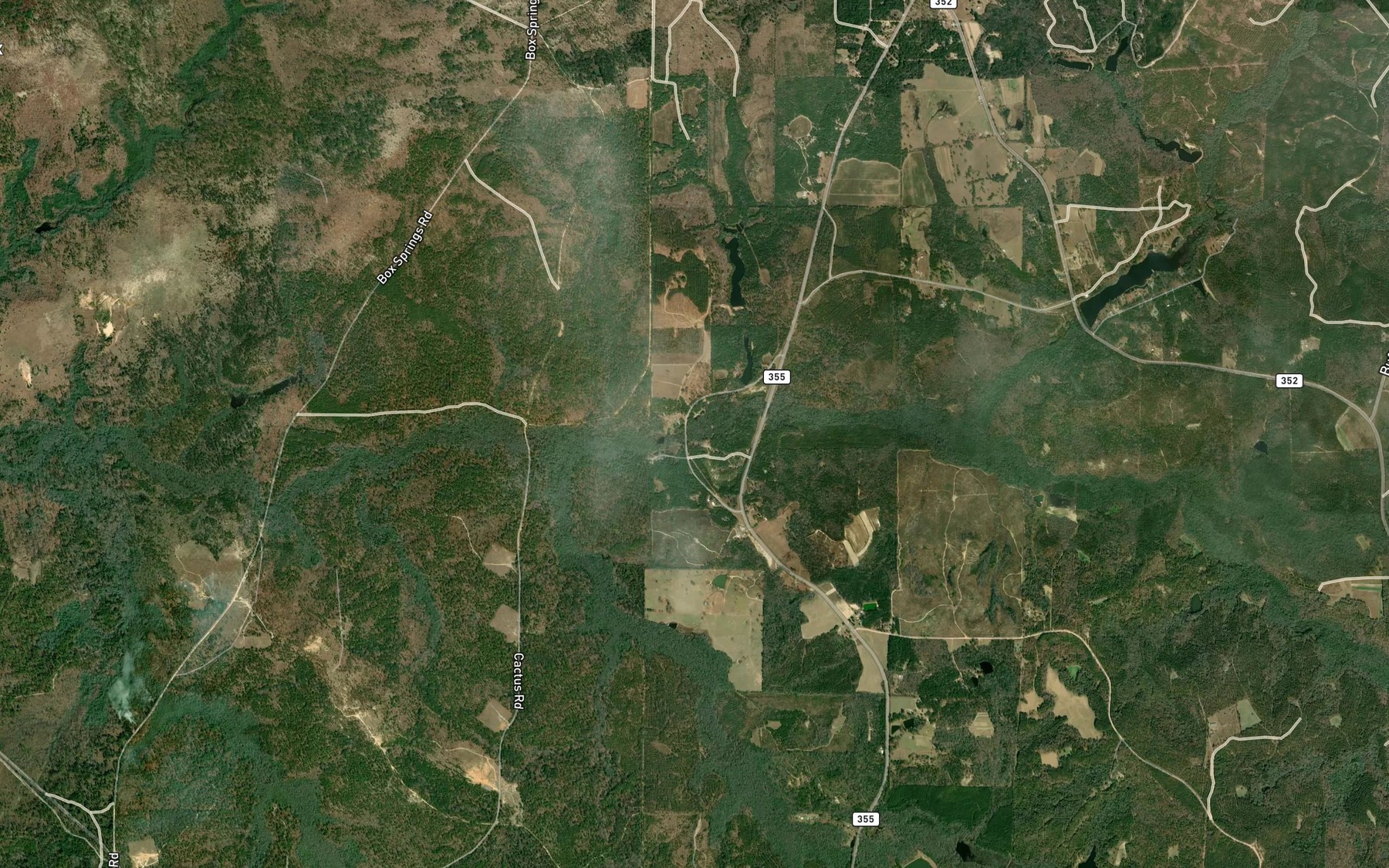 Satellite map of the Peachtree Branch