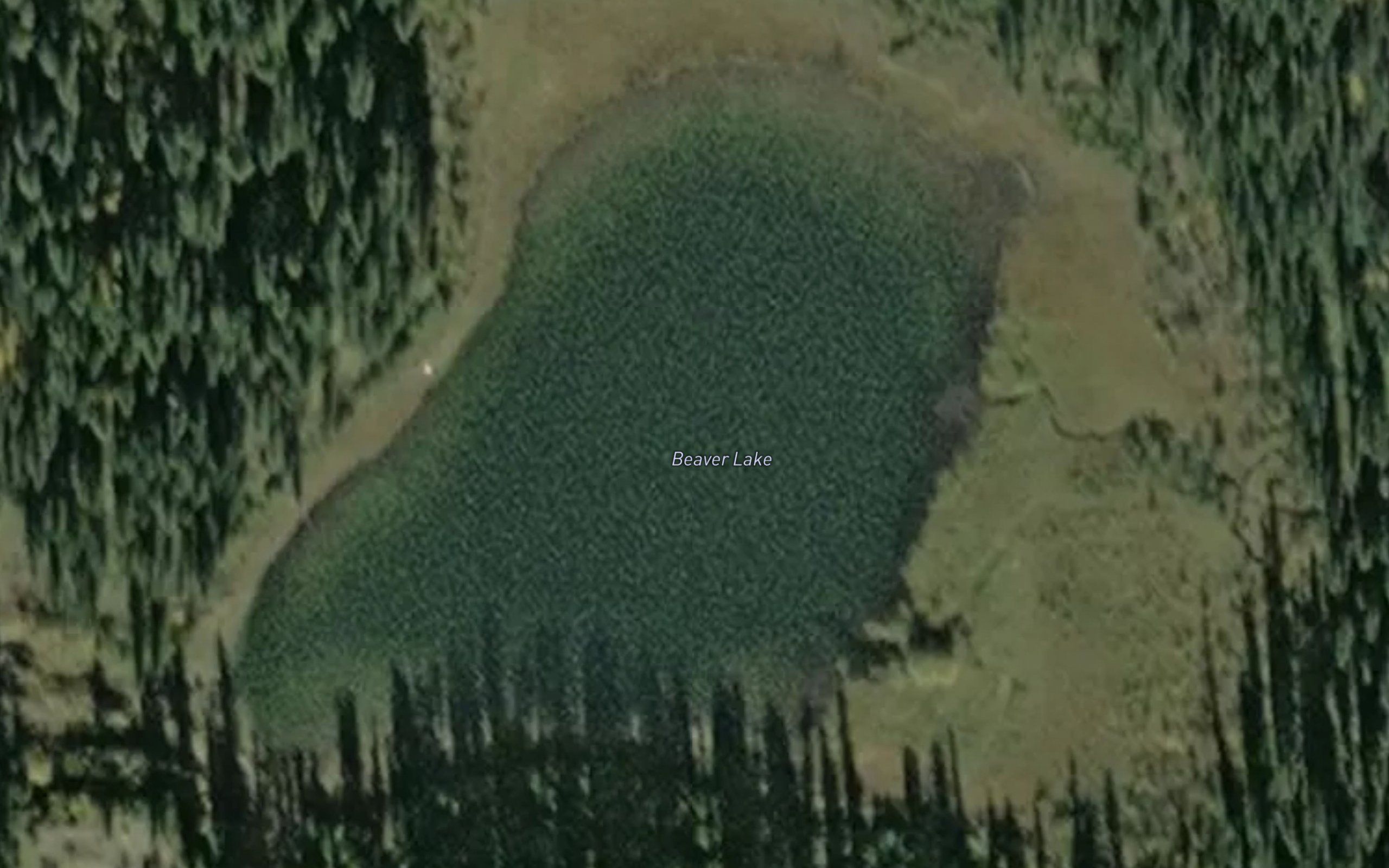 Beaver Lake