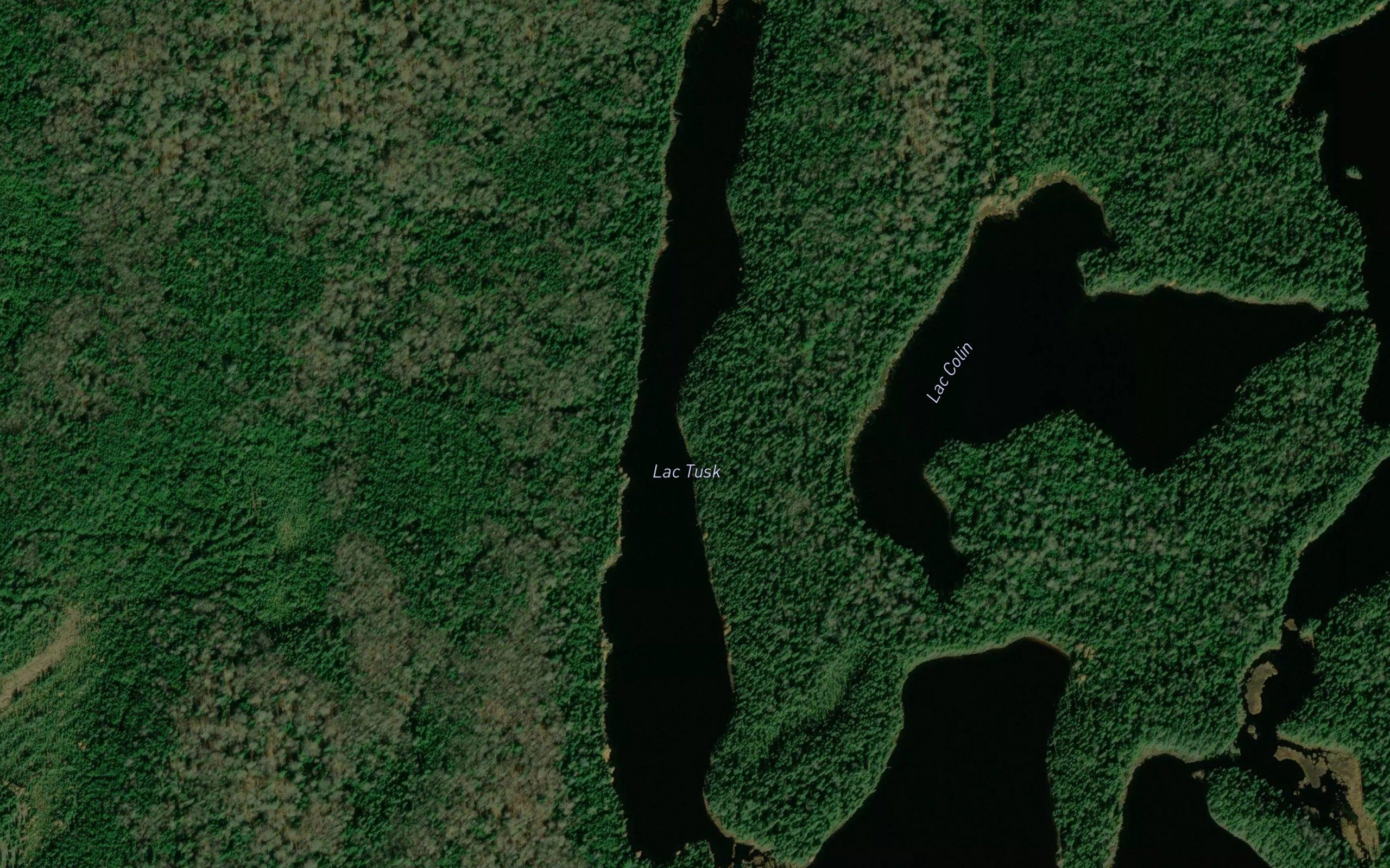 Lac Tusk