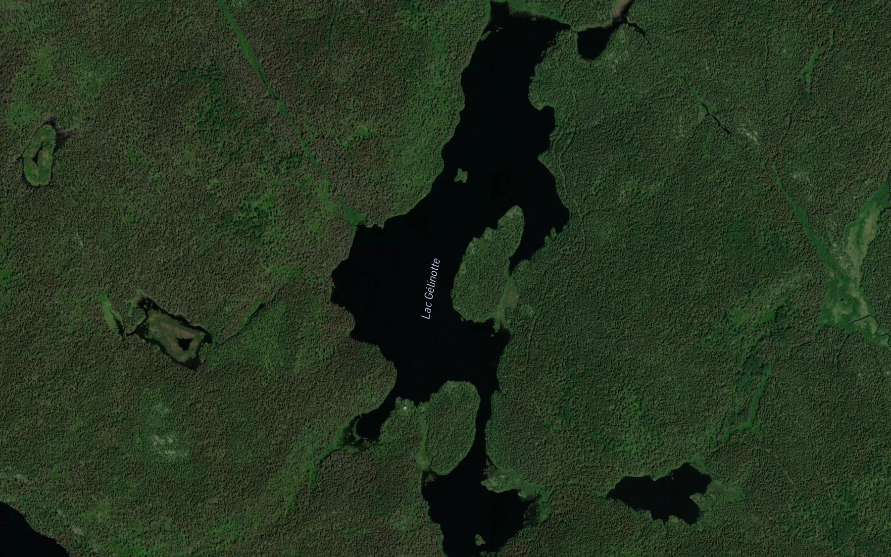 Satellite map of the Lac Leon