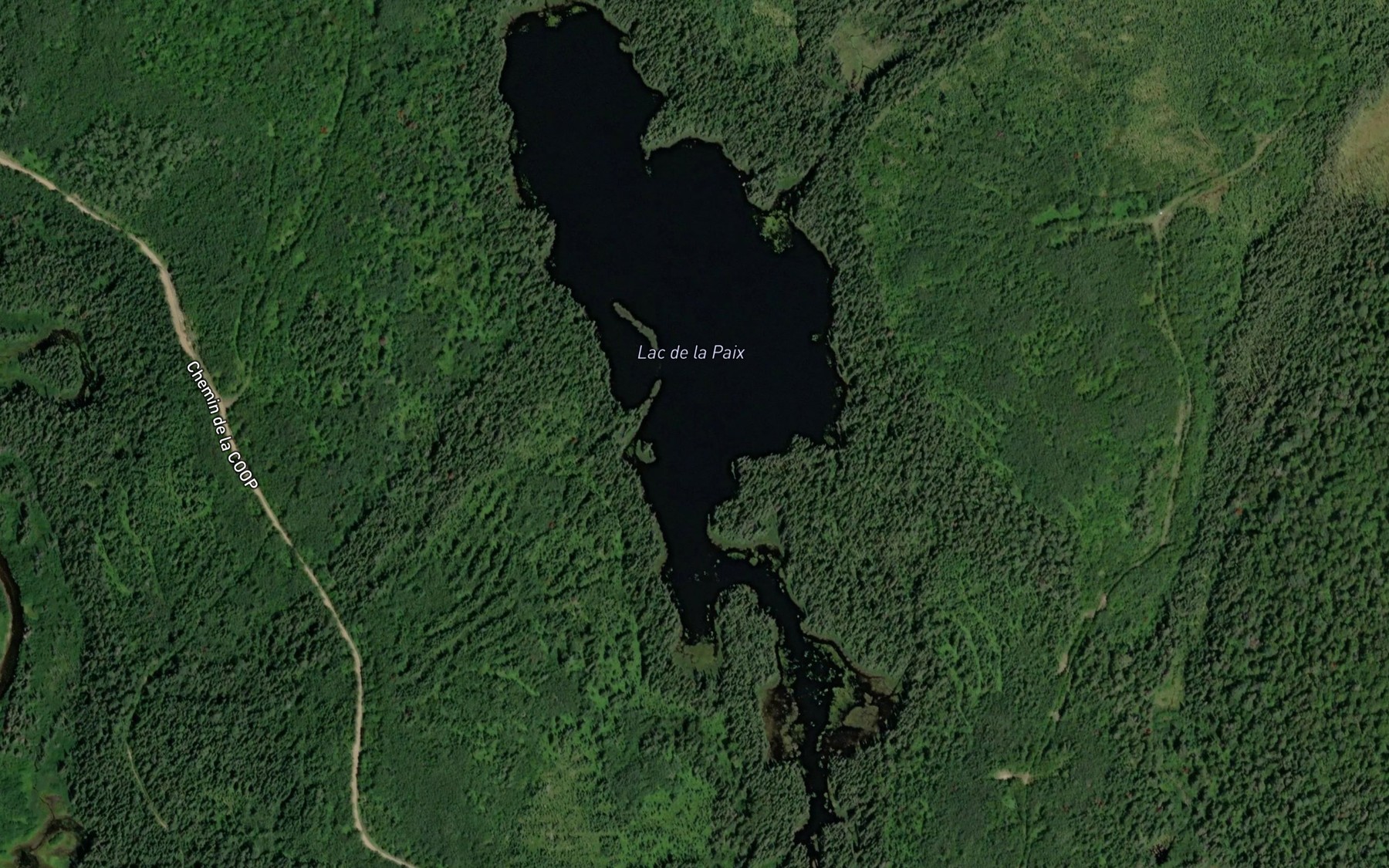 Satellite map of the Lac de la Paix