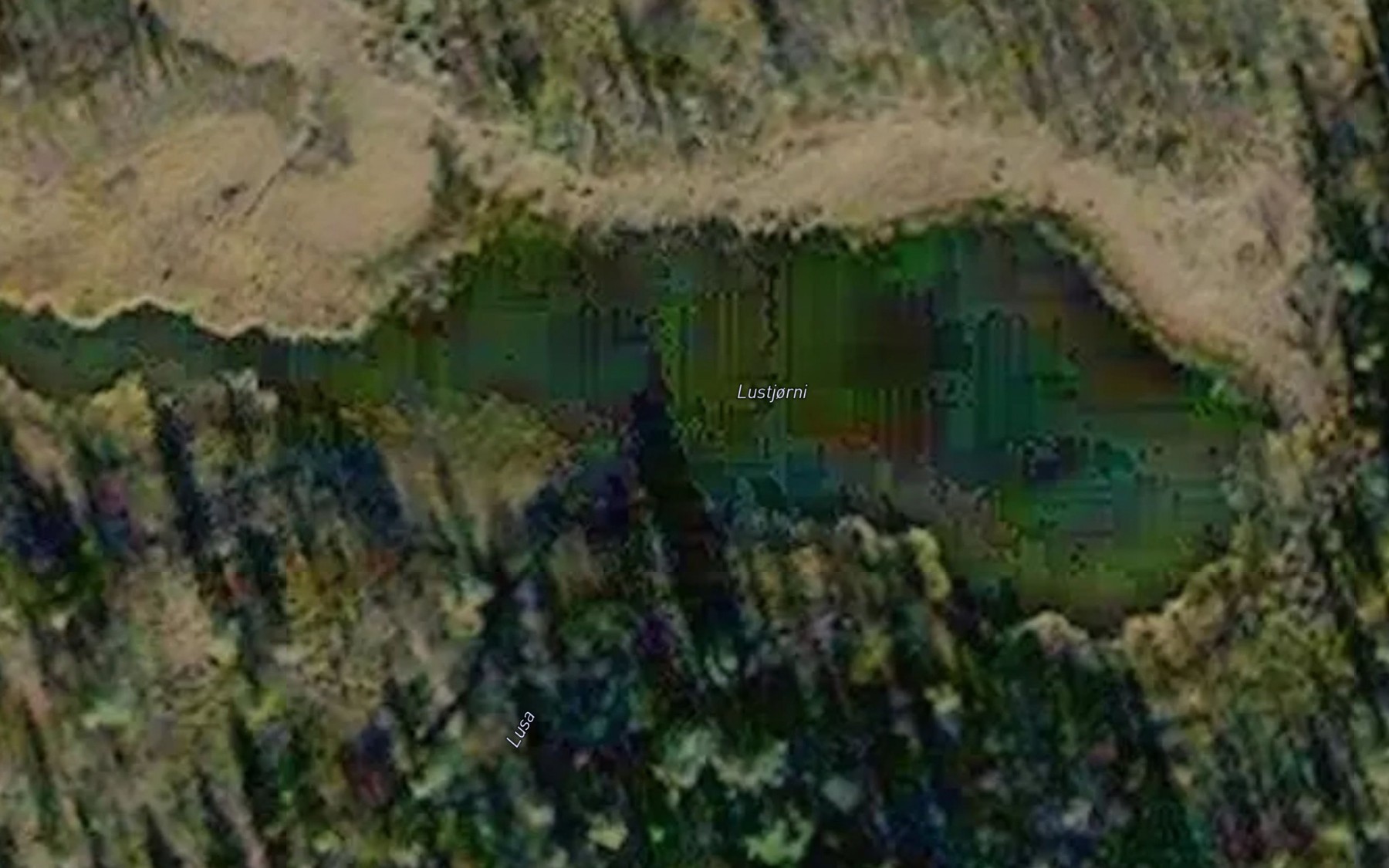 Satellite map of the Lustjonn