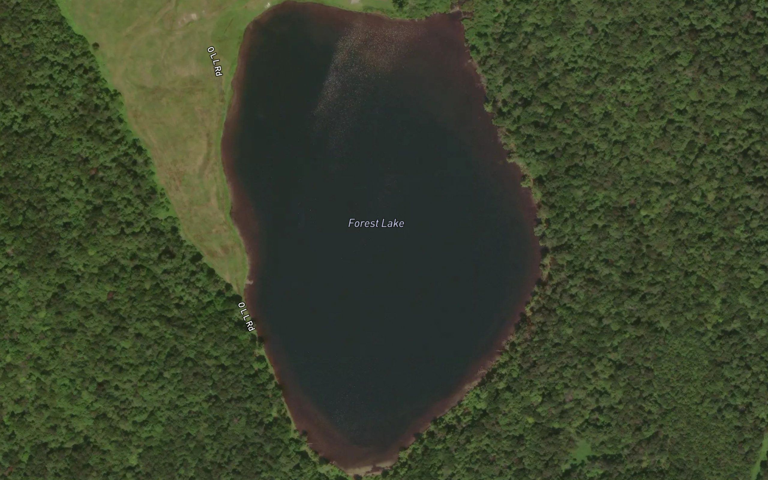 Forest Lake