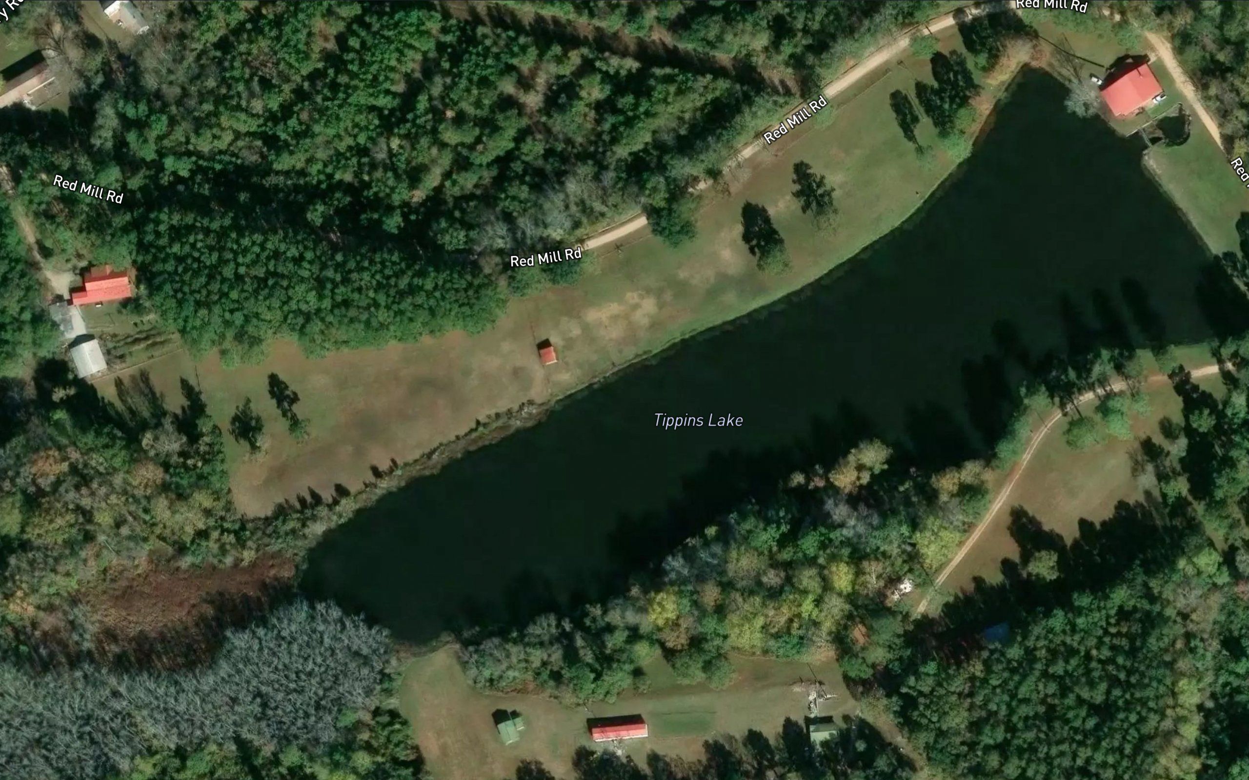 Tippins Lake