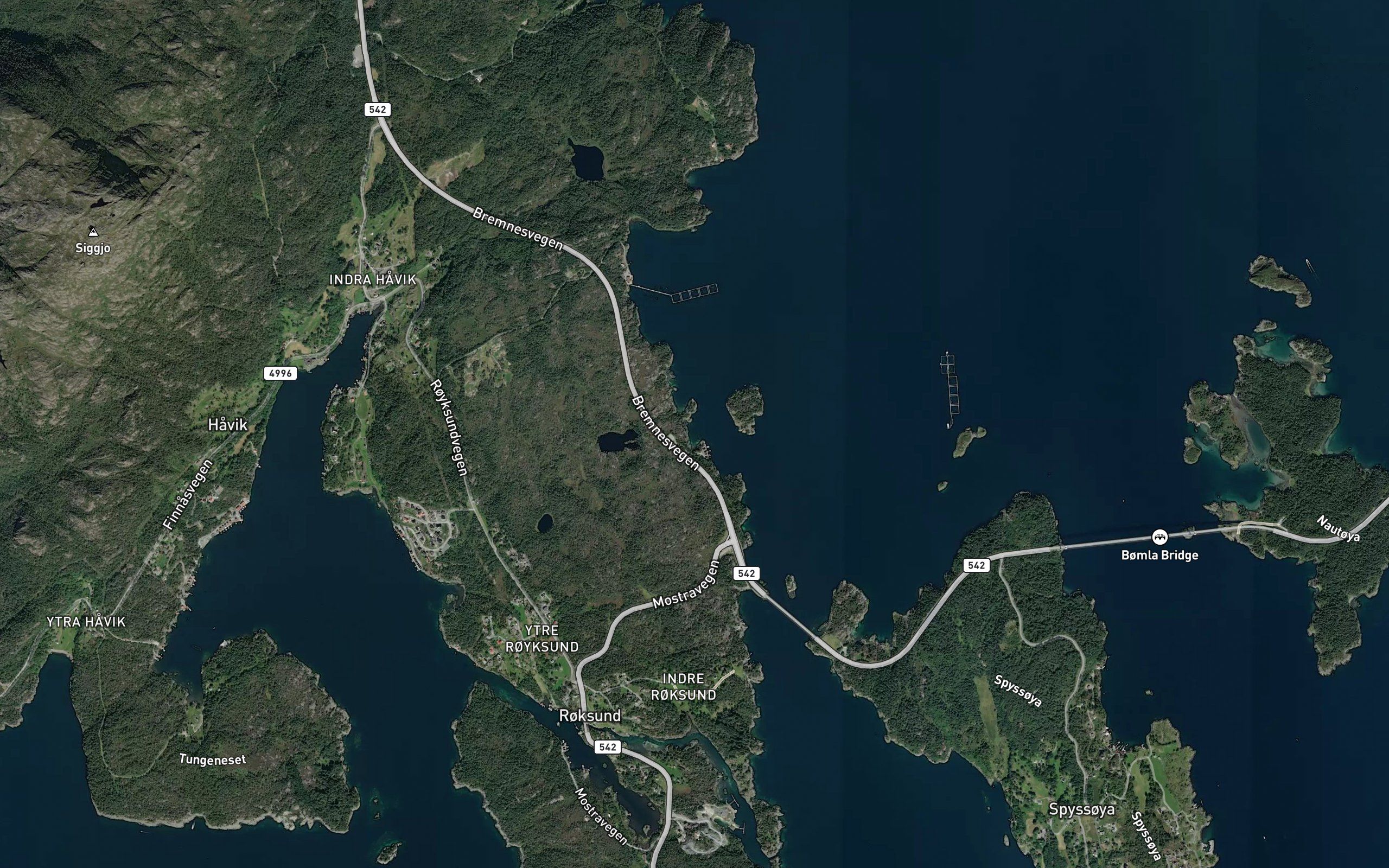 Kjottvika
