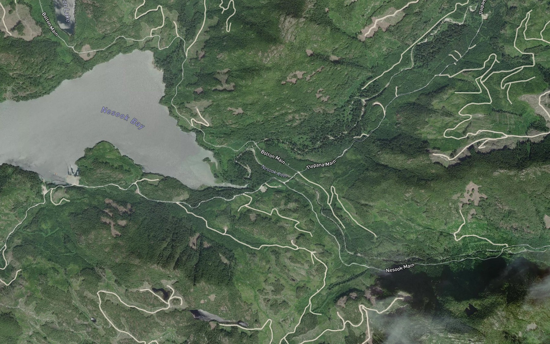 Satellite map of the Nesook River