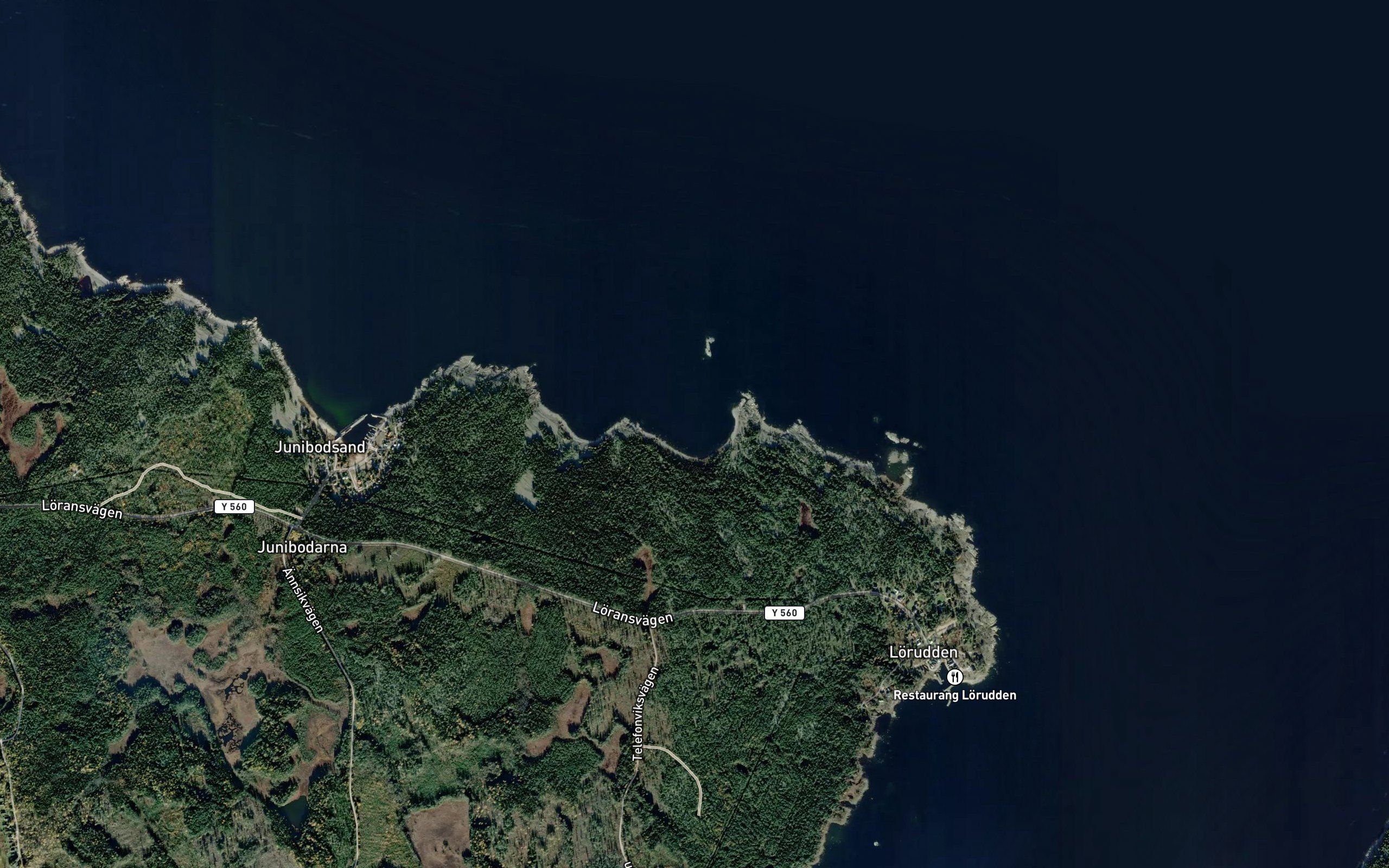 Svartviken