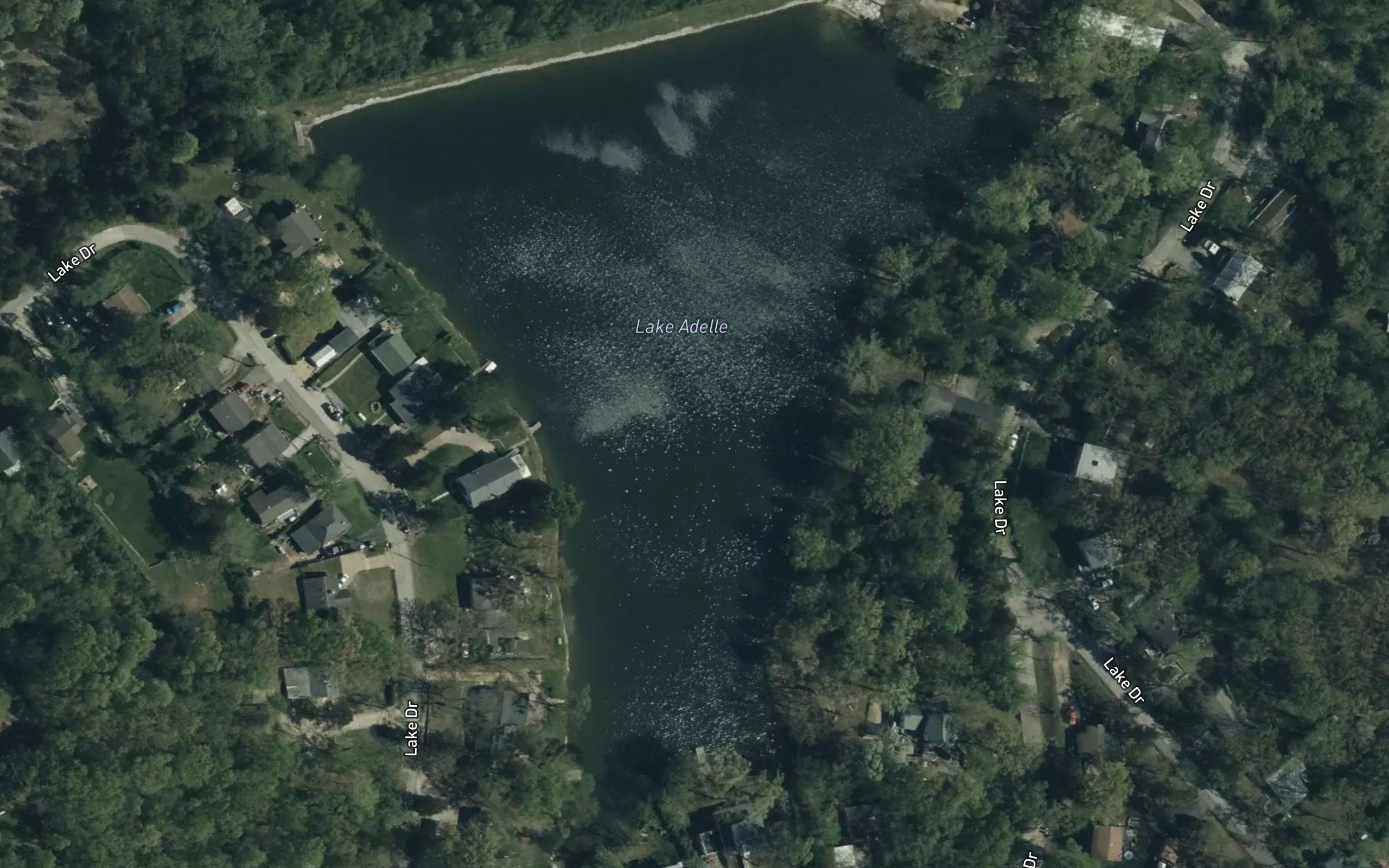 Lake Adelle