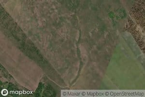 Pad' Pervaya Lyutikova