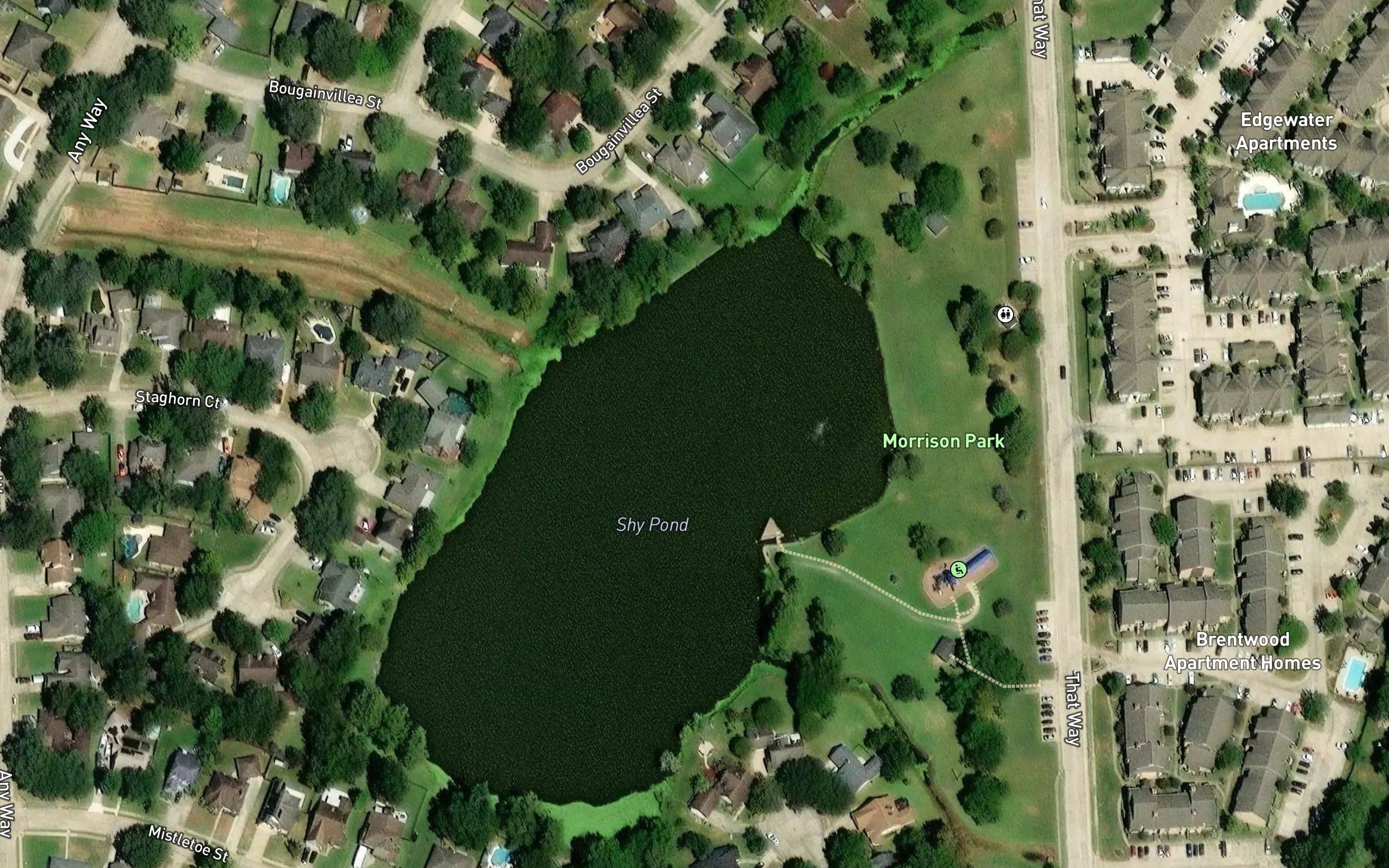 Shy Pond