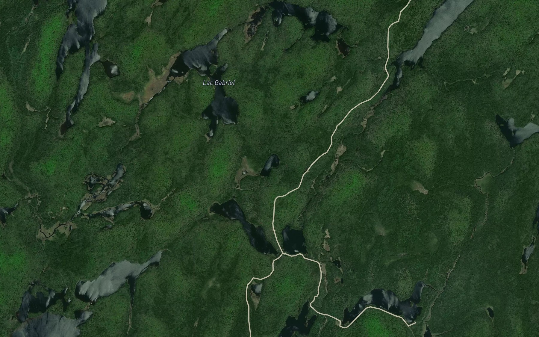 Satellite map of the Petit lac Tortue
