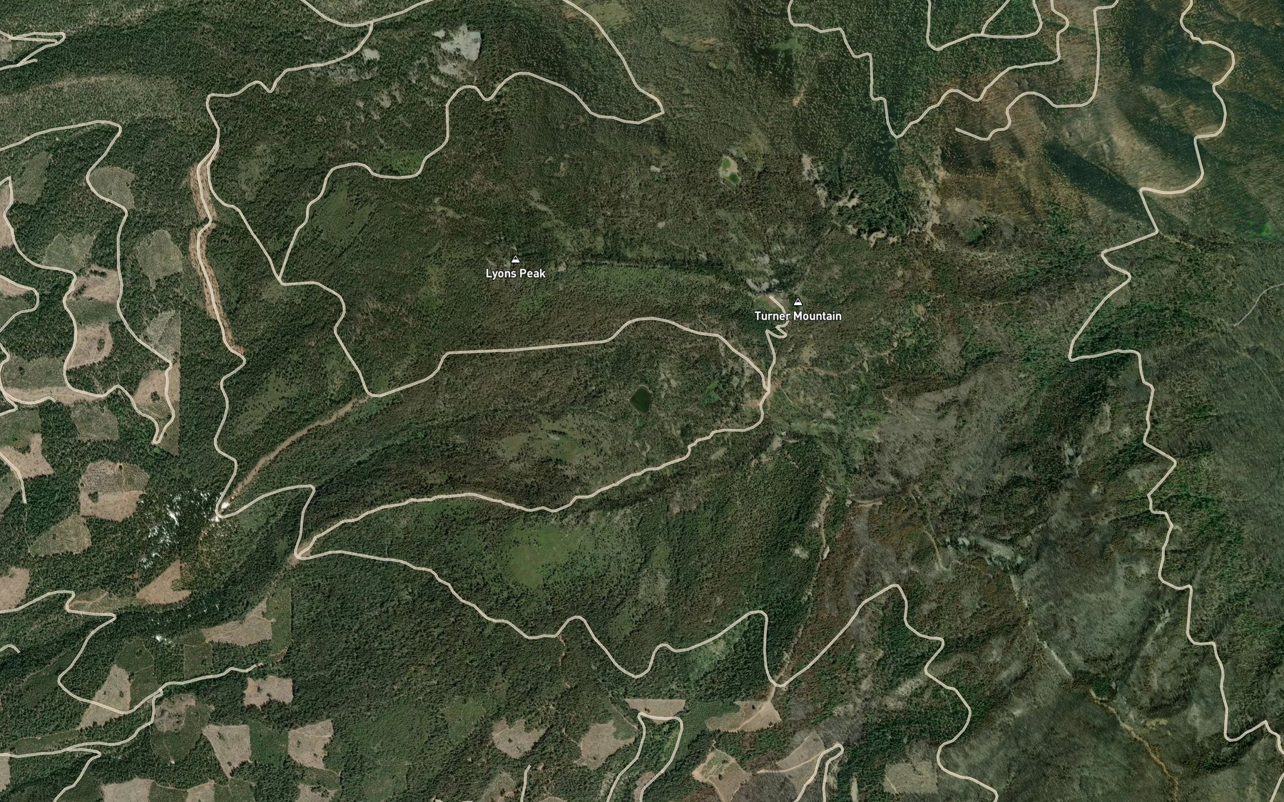 Satellite map of the Diamond Lake
