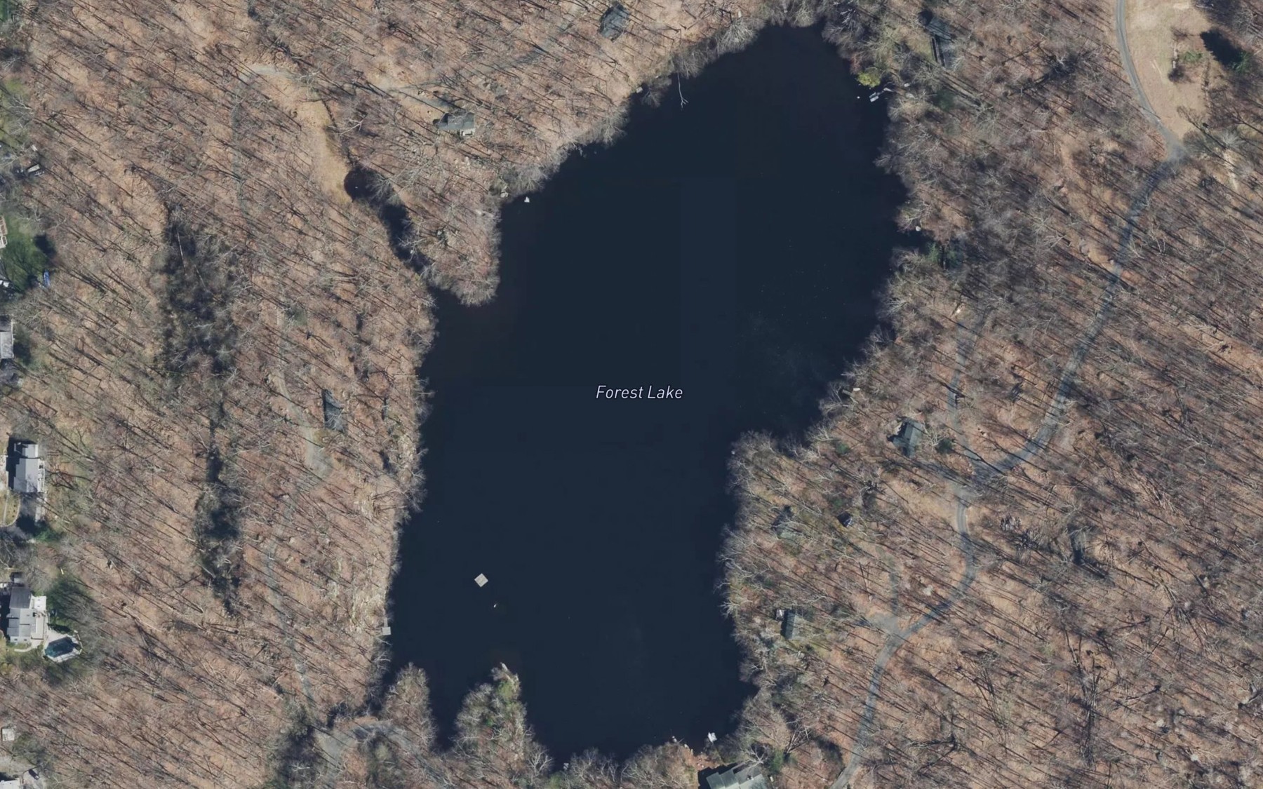 Satellite map of the Forest Lake