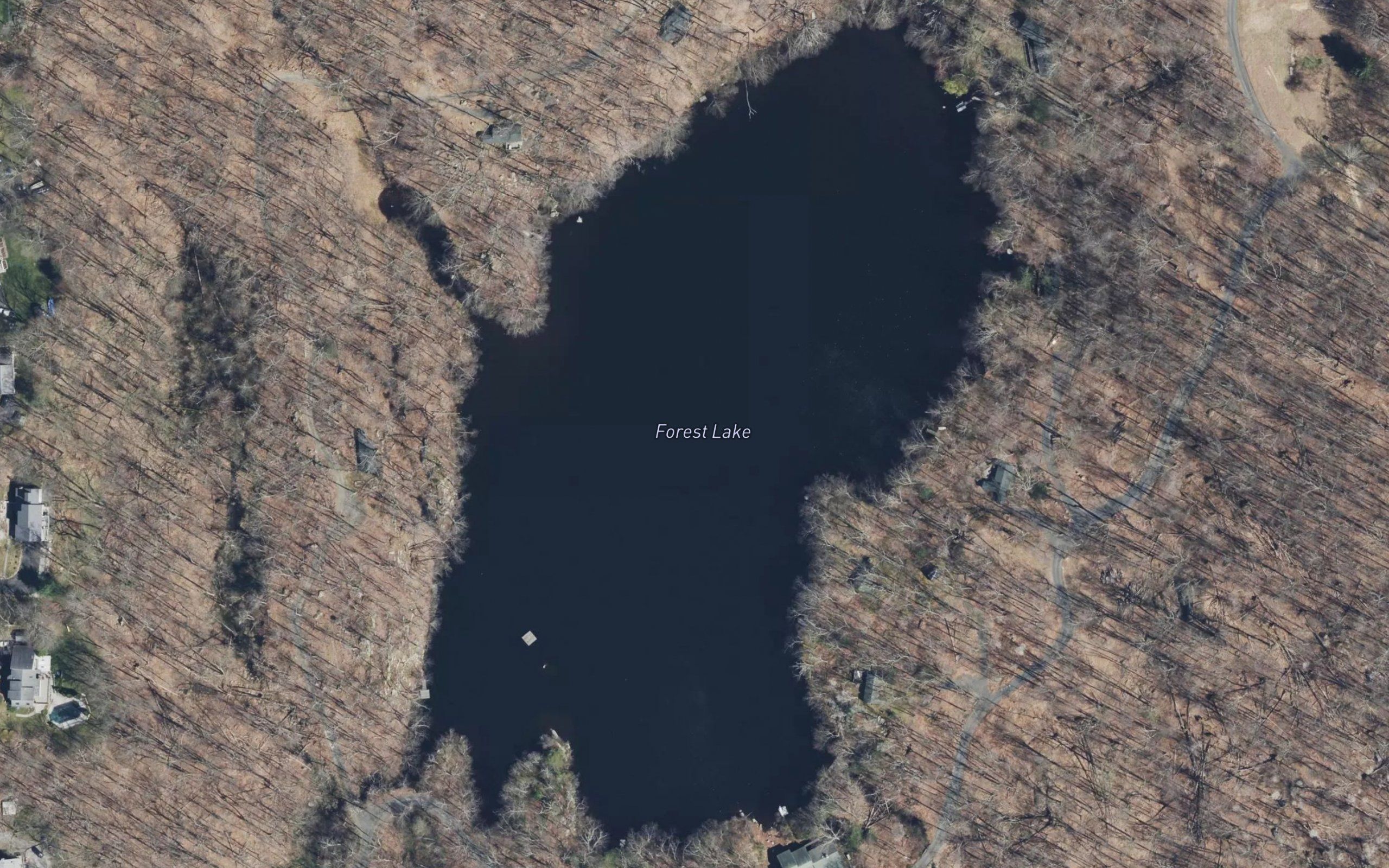 Forest Lake