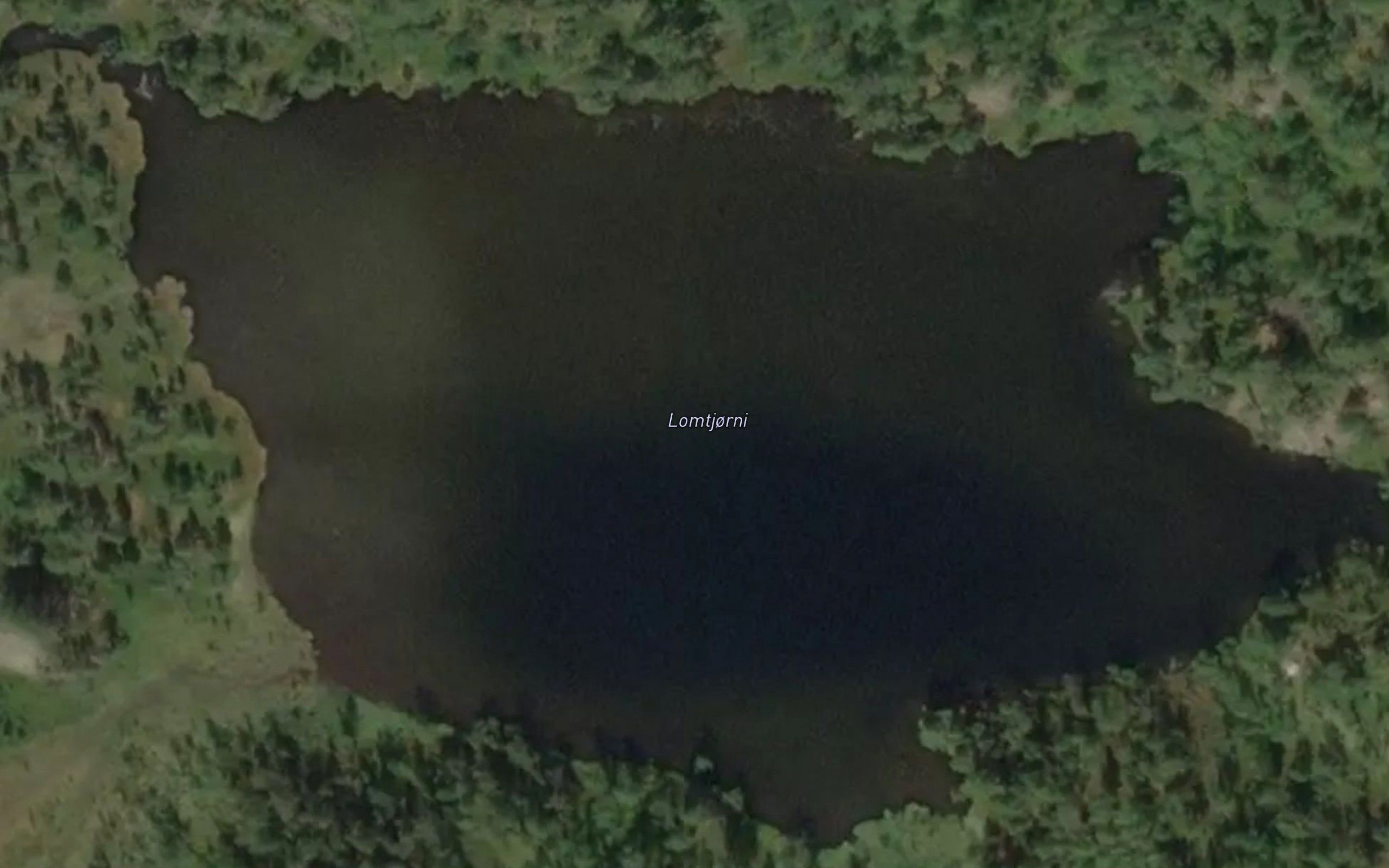 Lomtjorni