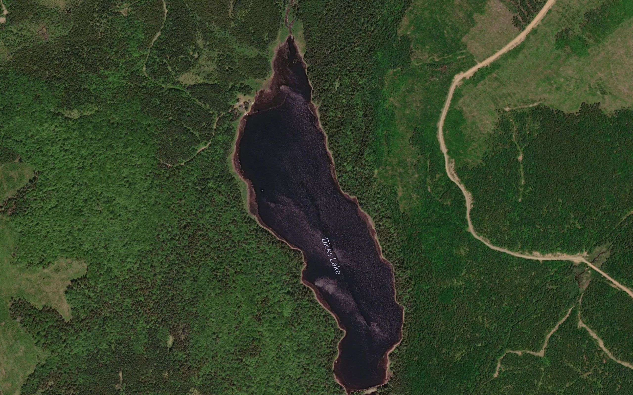 Dicks Lake