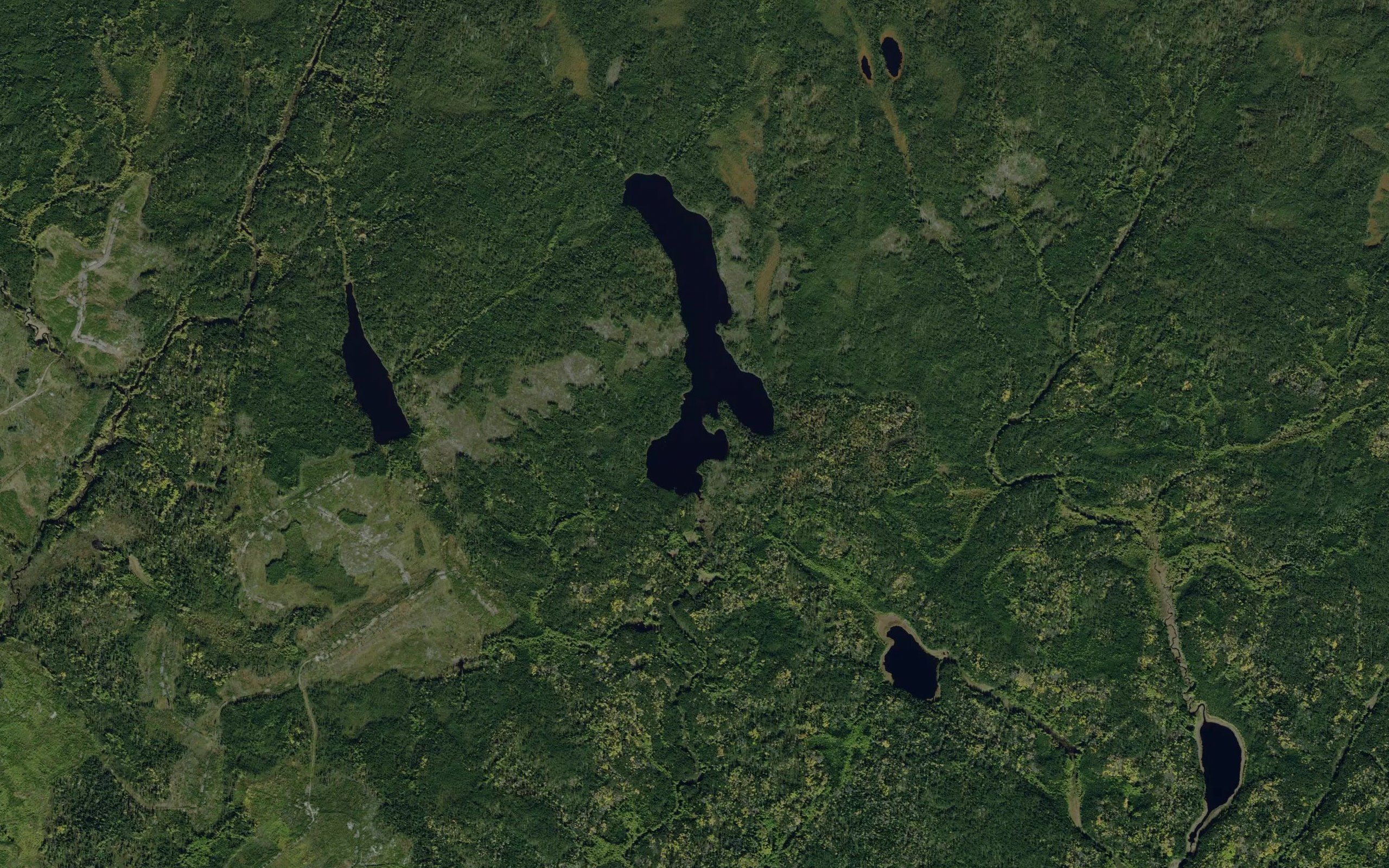 Deadhead Lake