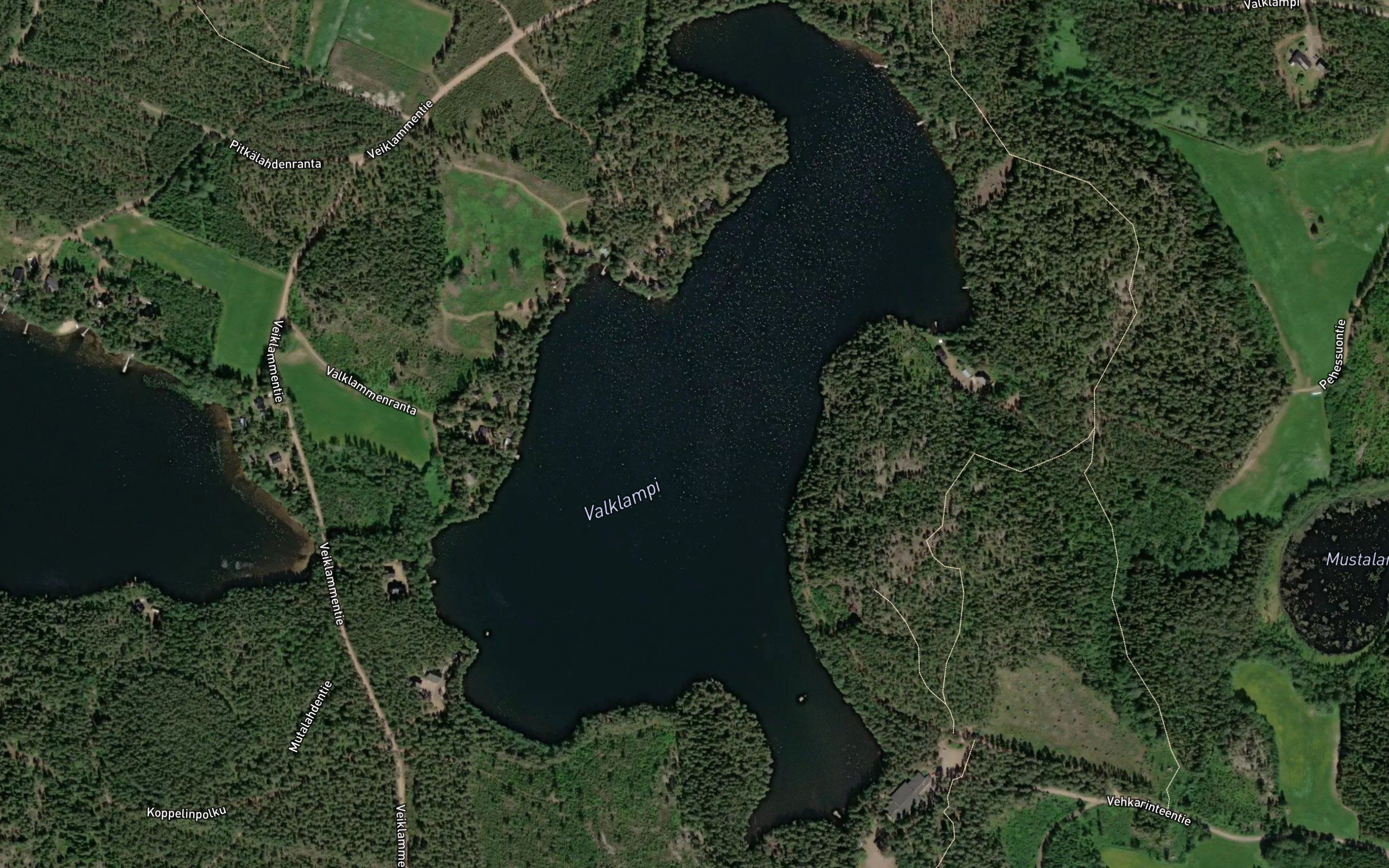Valklampi