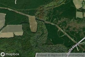 Coppahaunk Swamp