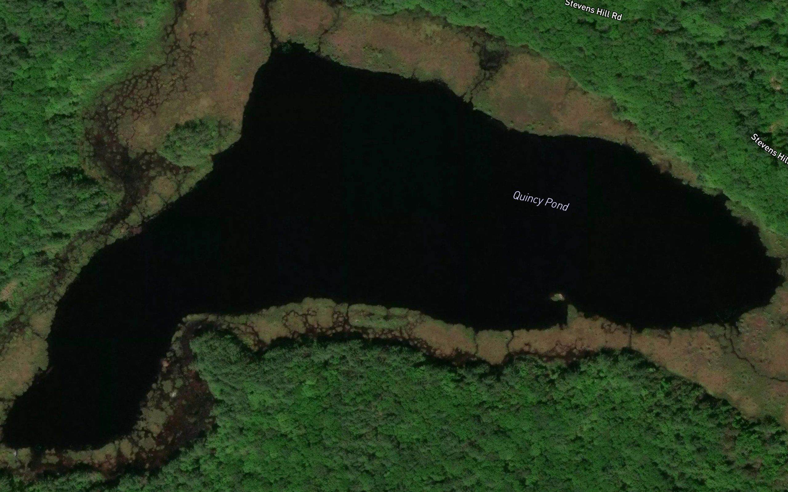 Quincy Pond
