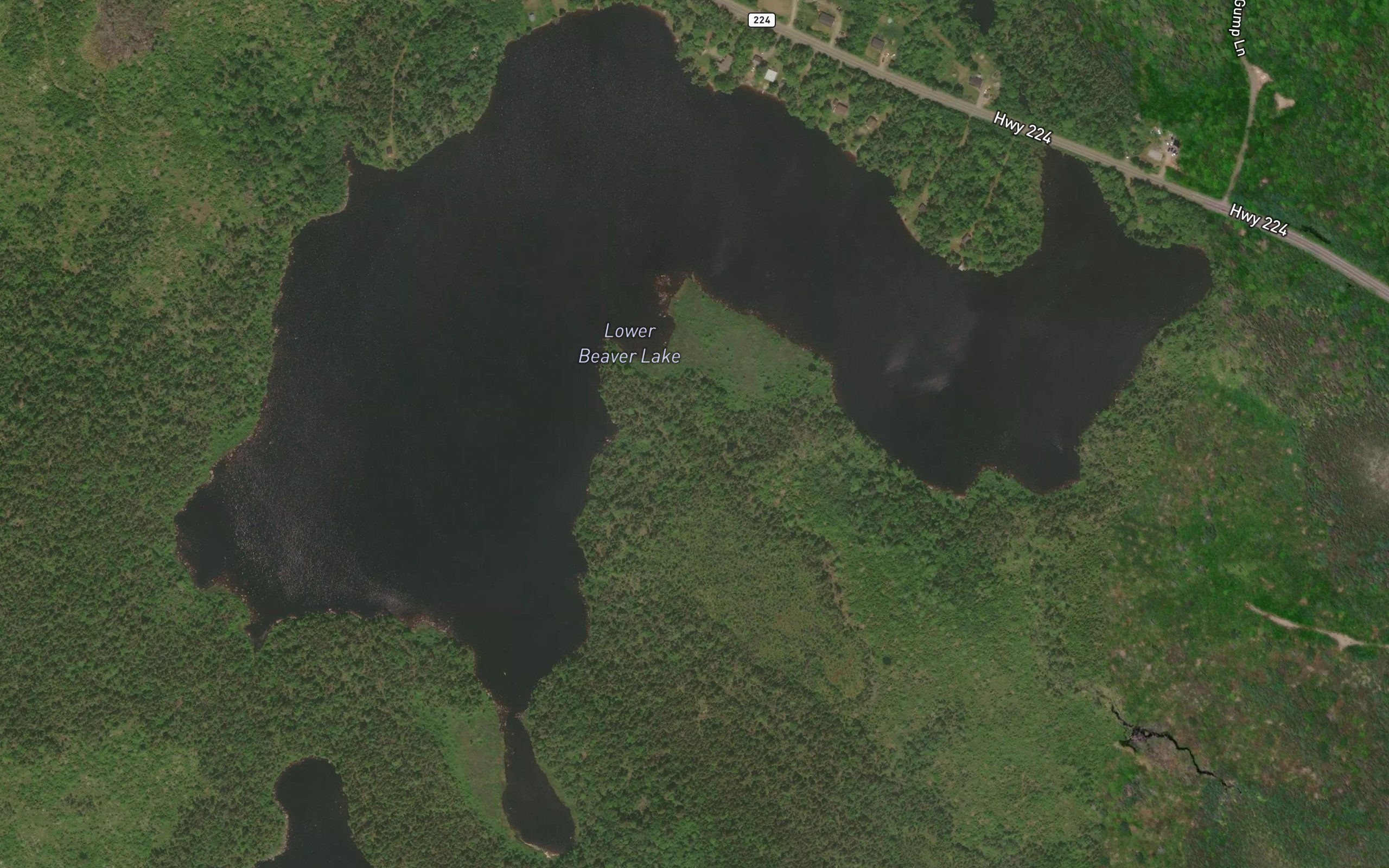 Lower Beaver Lake