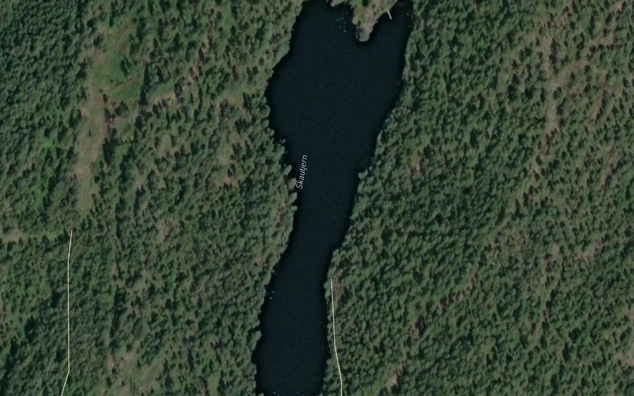Skautjern