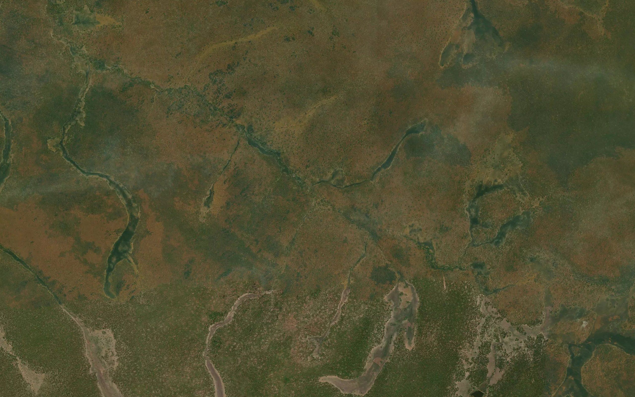Chimwemwe