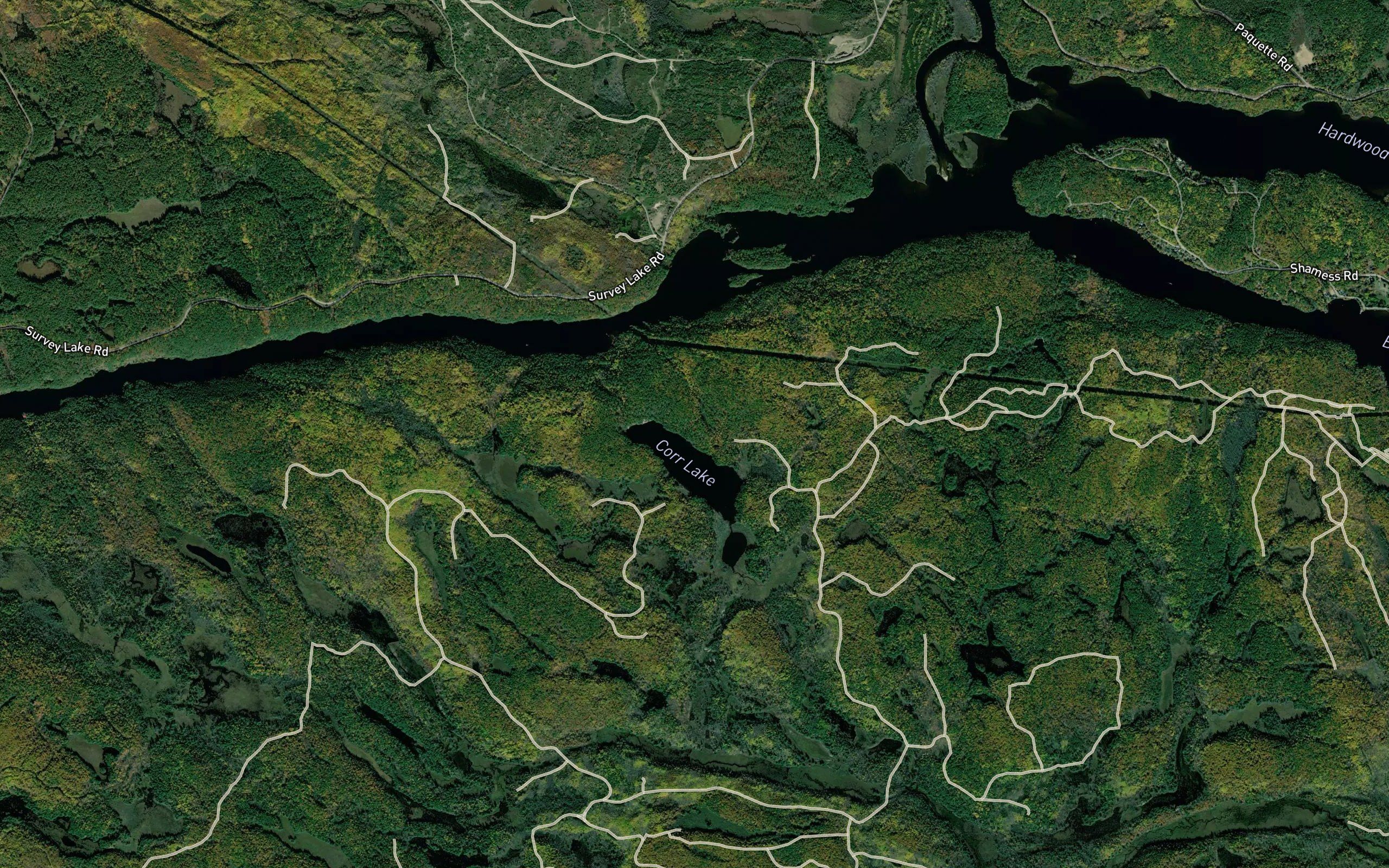 Spug Creek