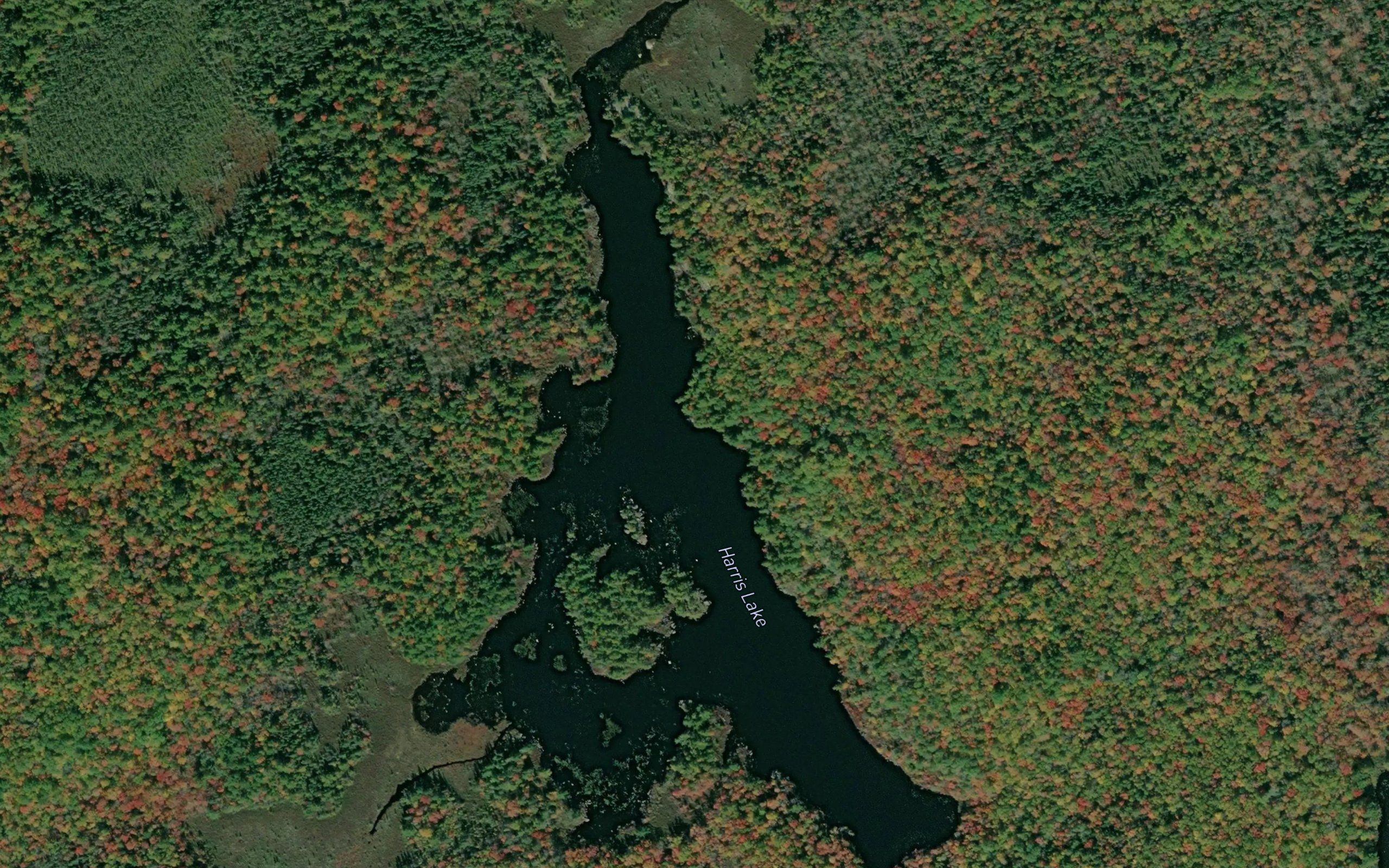 Harris Lake