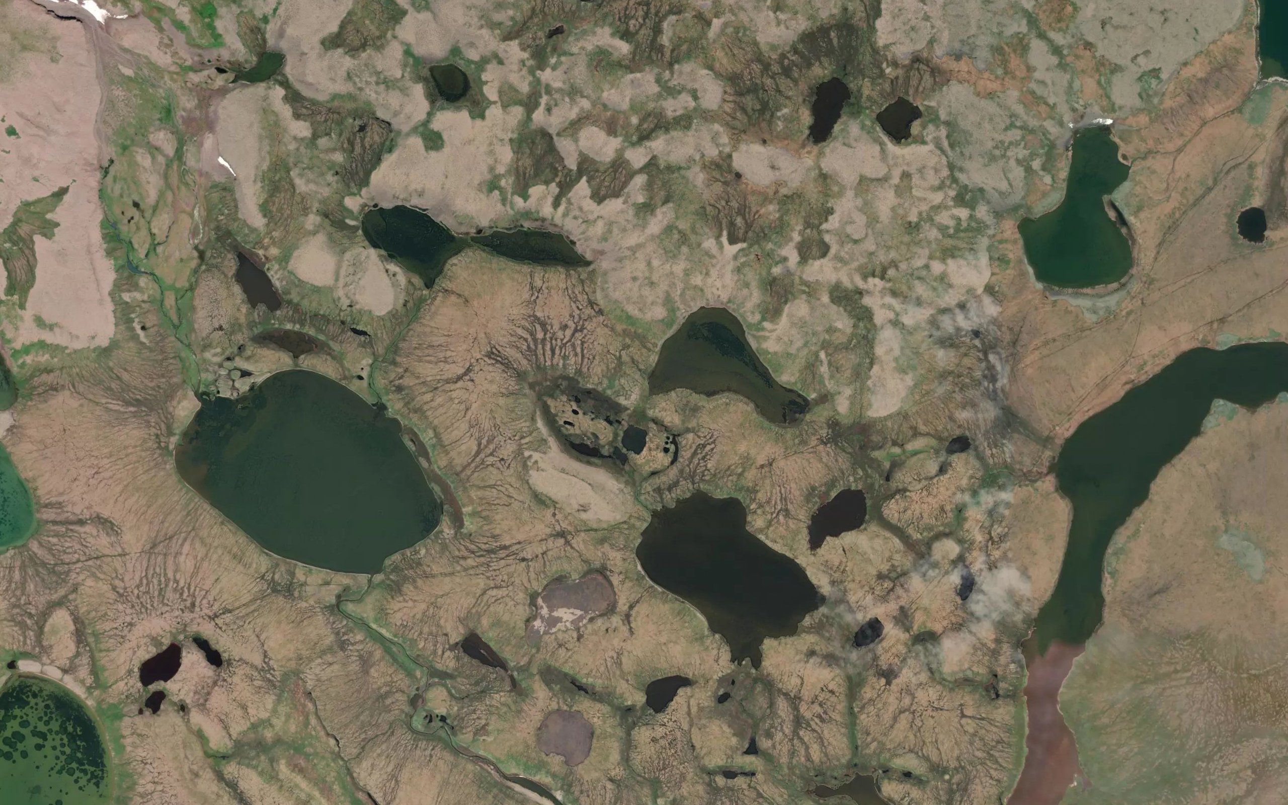 Flora Lake