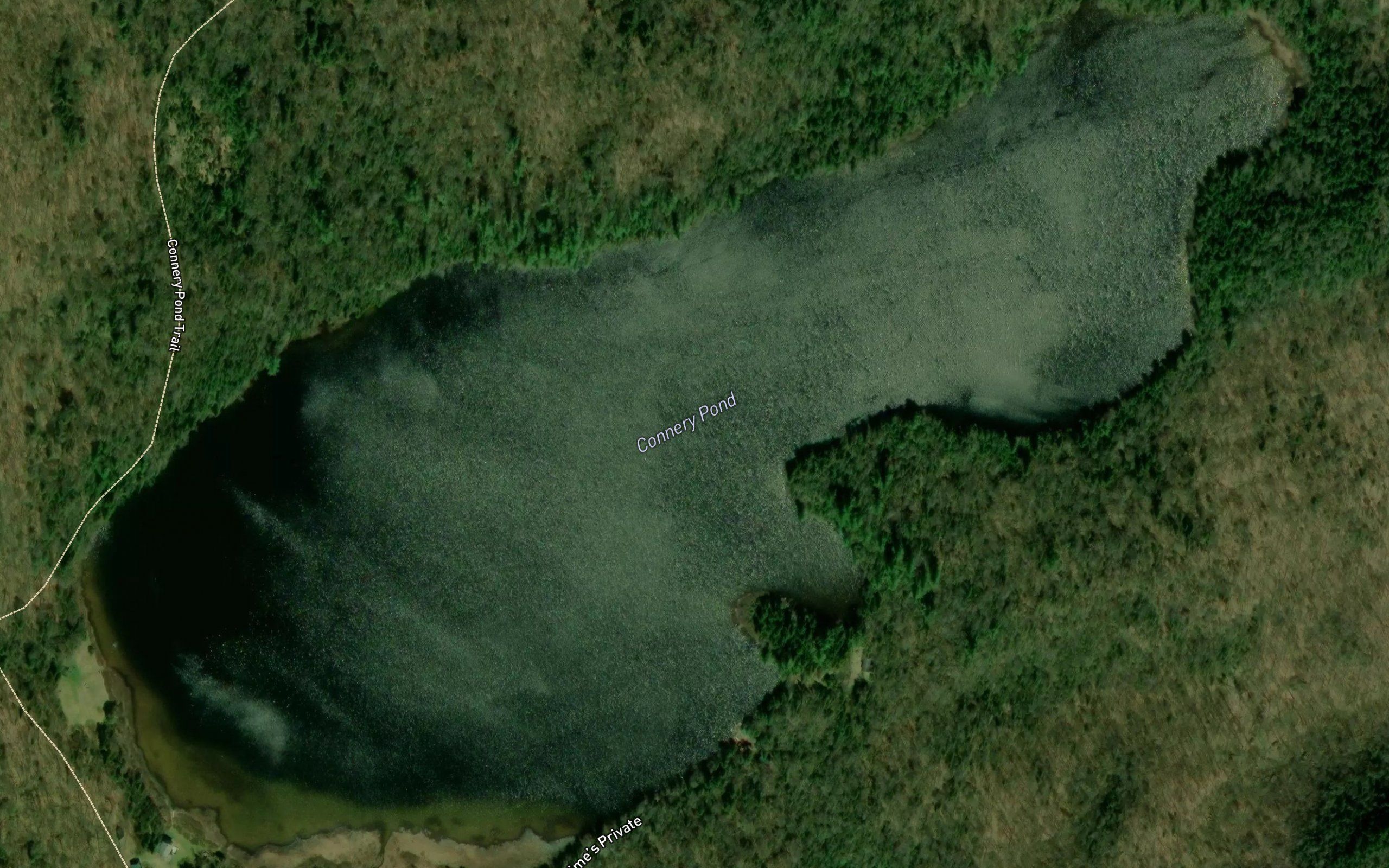 Connery Pond