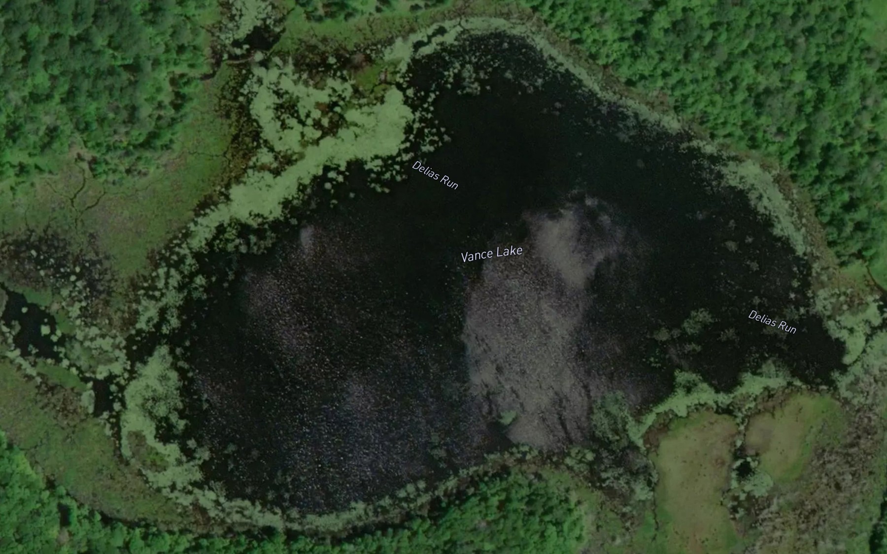 Satellite map of the Vance Lake
