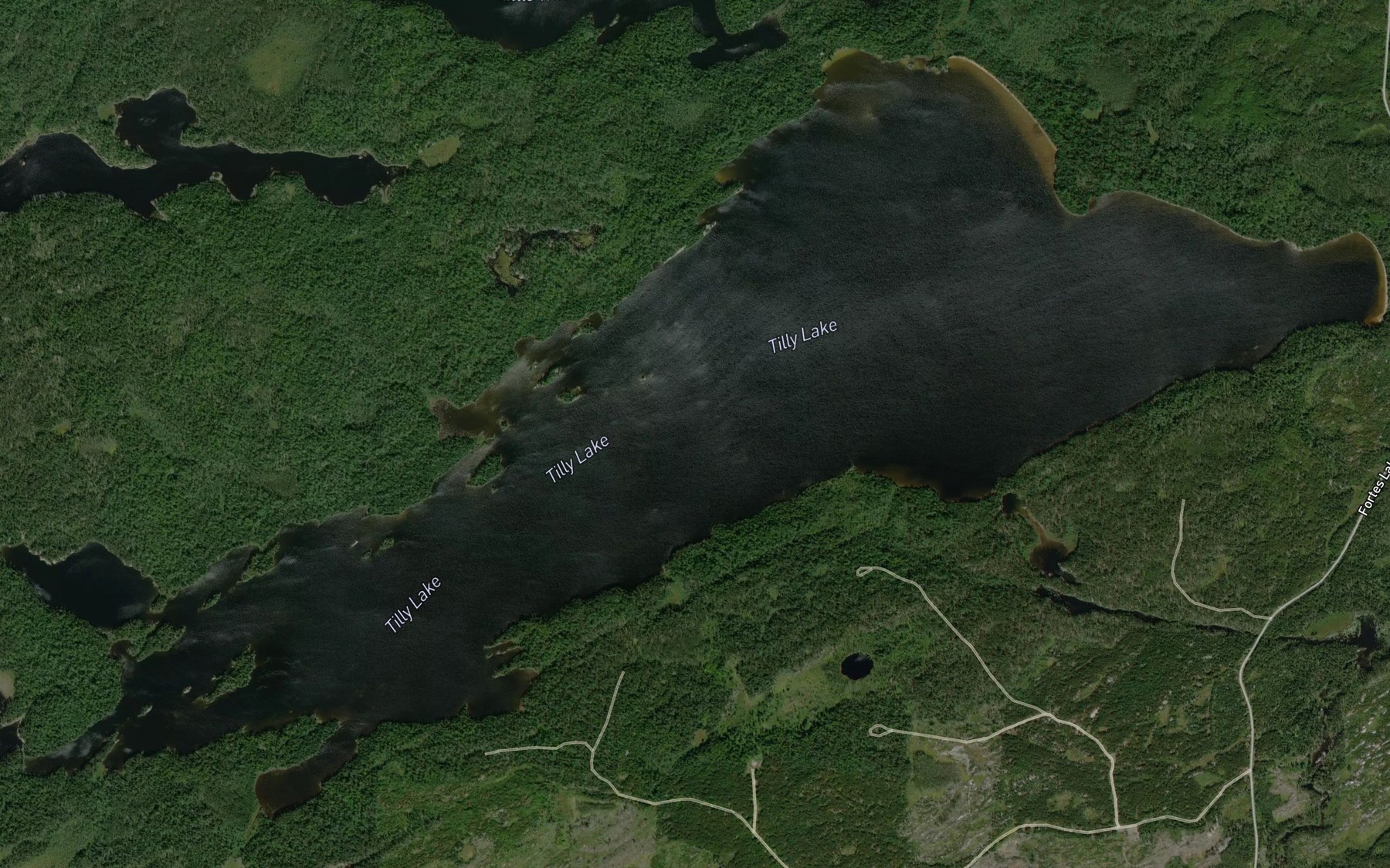 Satellite map of the Tilly Lake