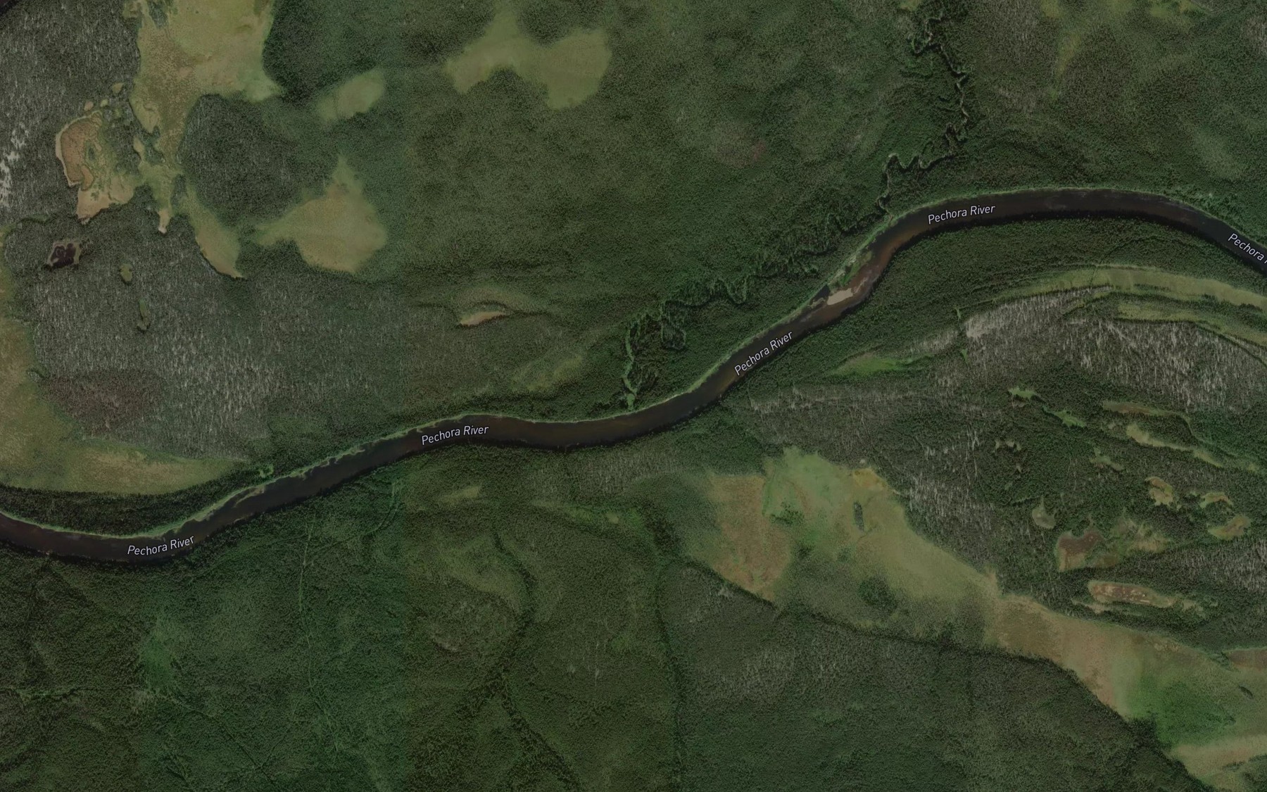 Satellite map of the Bol'shaya Gorevka