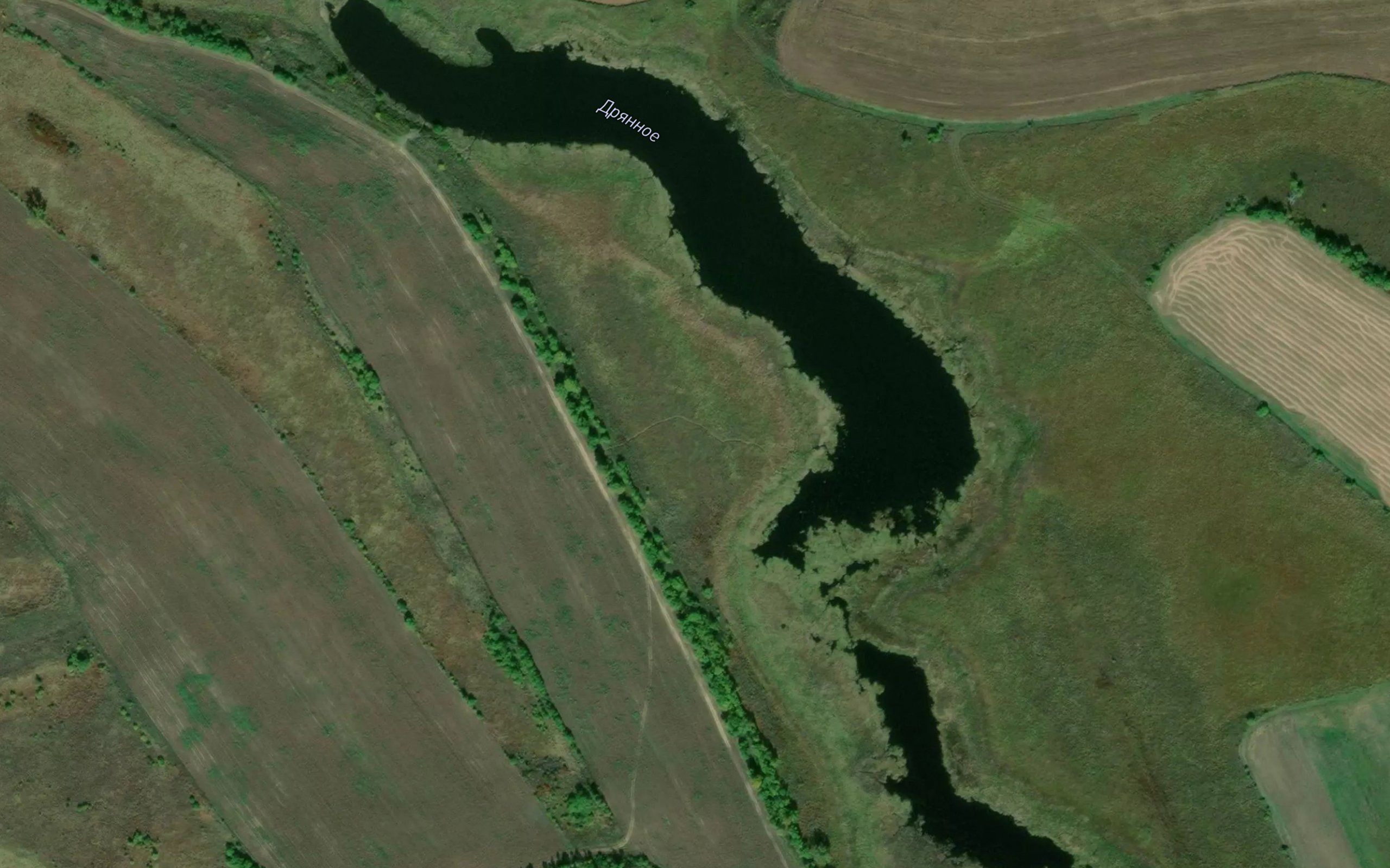 Ozero Dryannoye